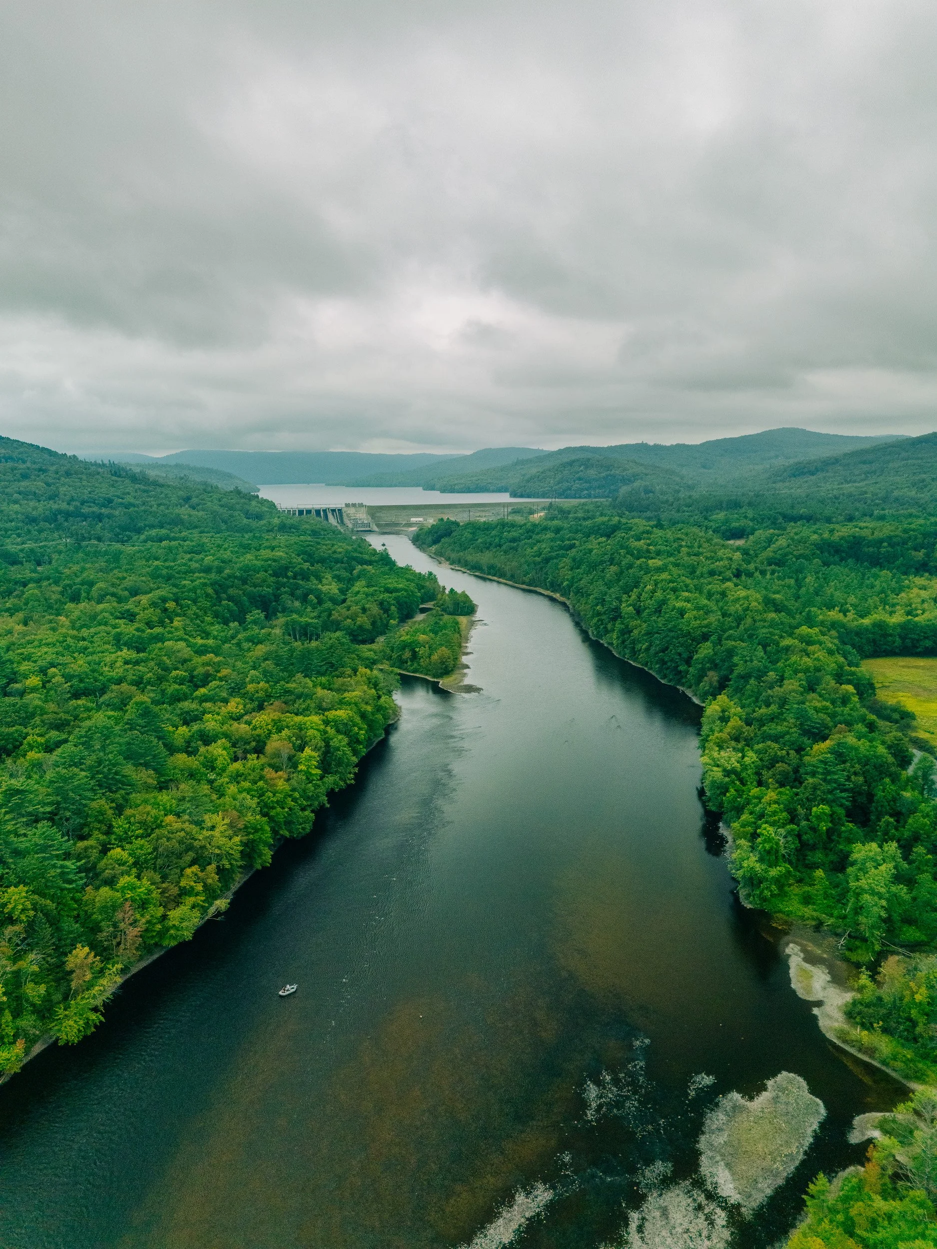 Aerial view of a river flowing through a forested landscape with mountains in the background and a cloudy sky.