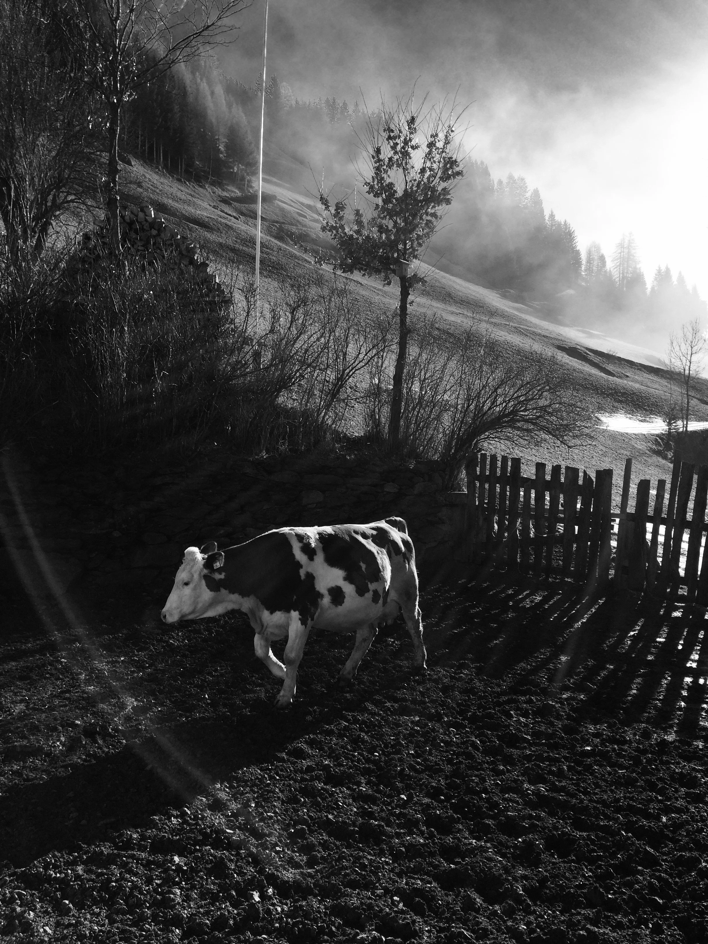 foto 27.03.16, 09 03 10.jpg