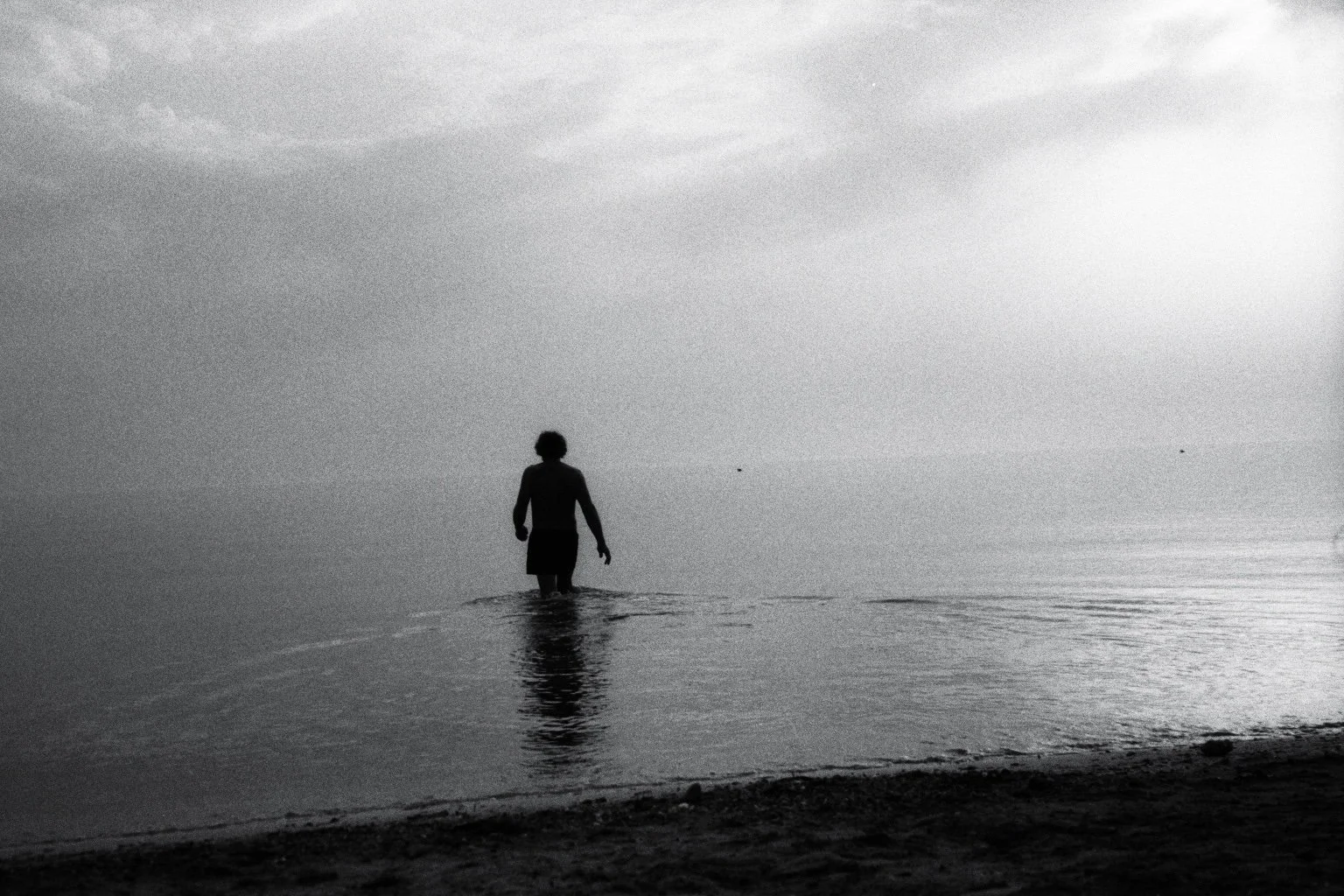 imm026_28.jpg