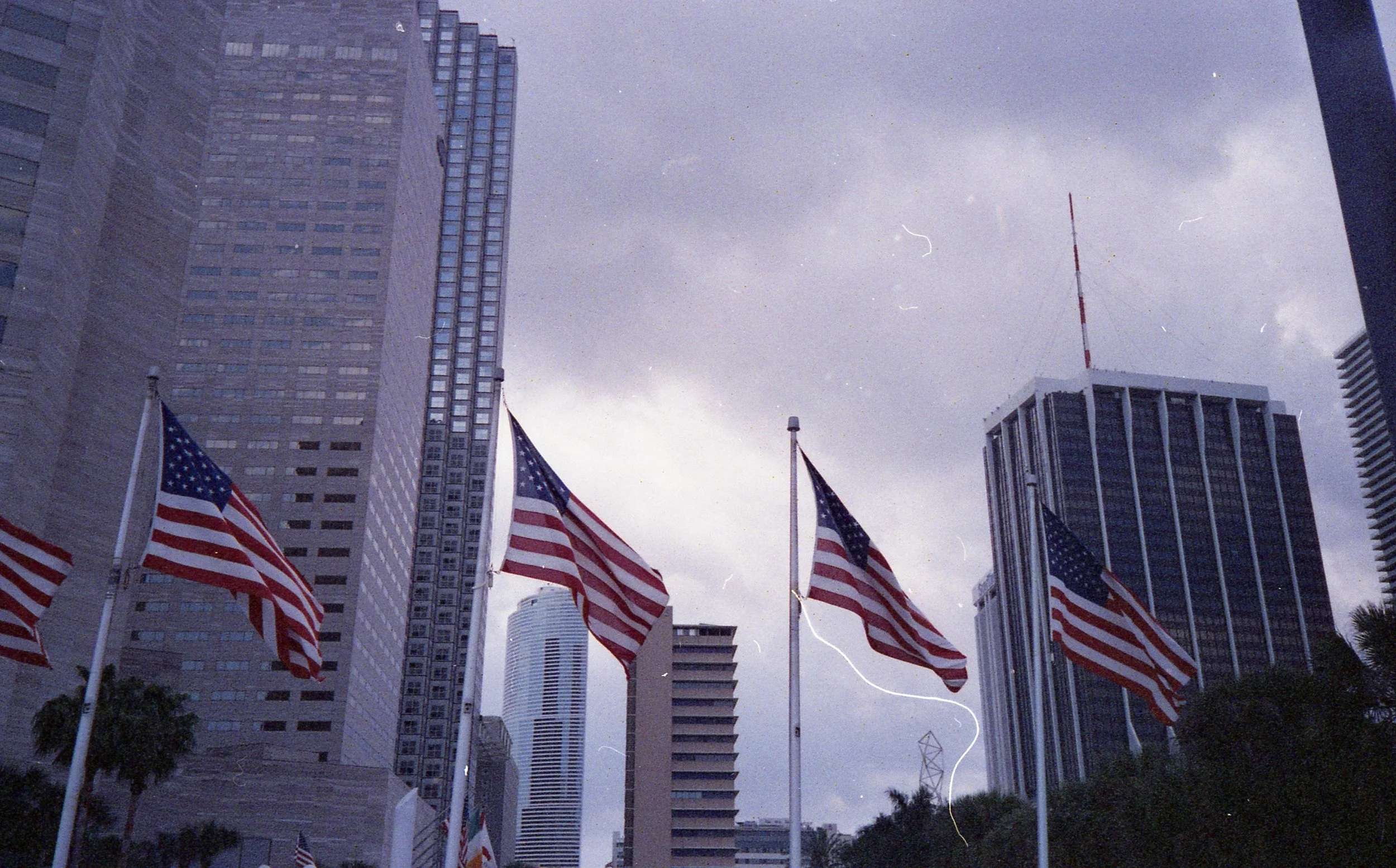2012_MIAMI711.jpg