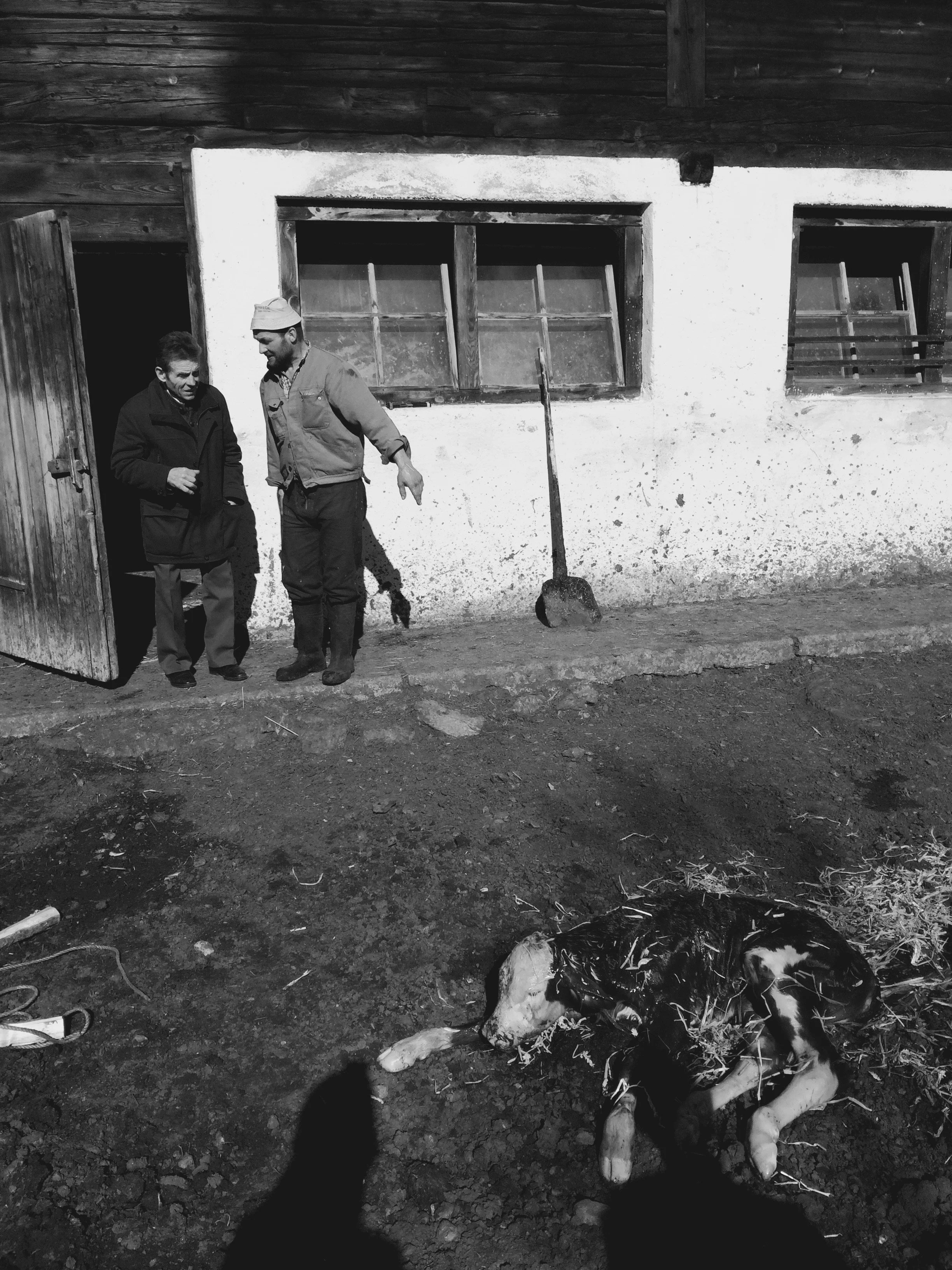 foto 27.03.16, 10 18 58.jpg