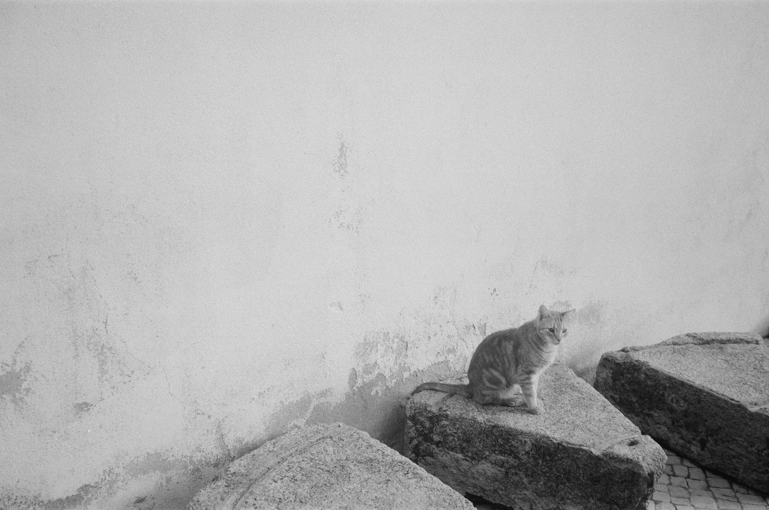 90520004.jpg