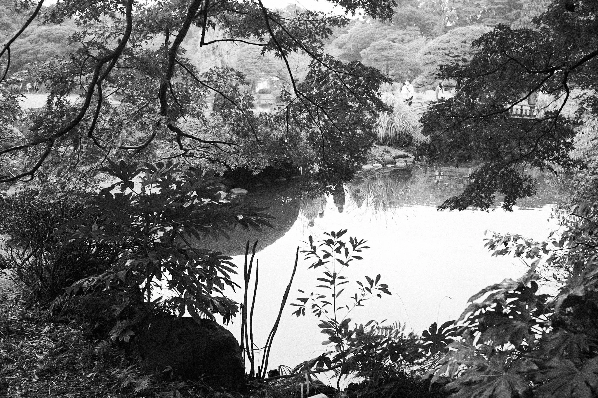 japan_00888.jpg