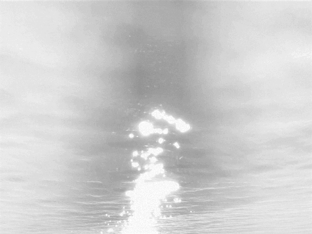 IMG_2529.gif