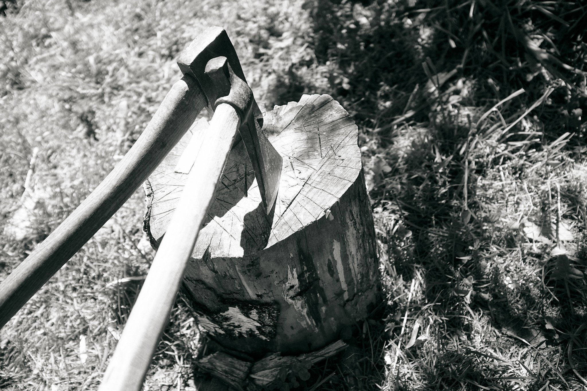 breakfastunderatree_0226.jpg