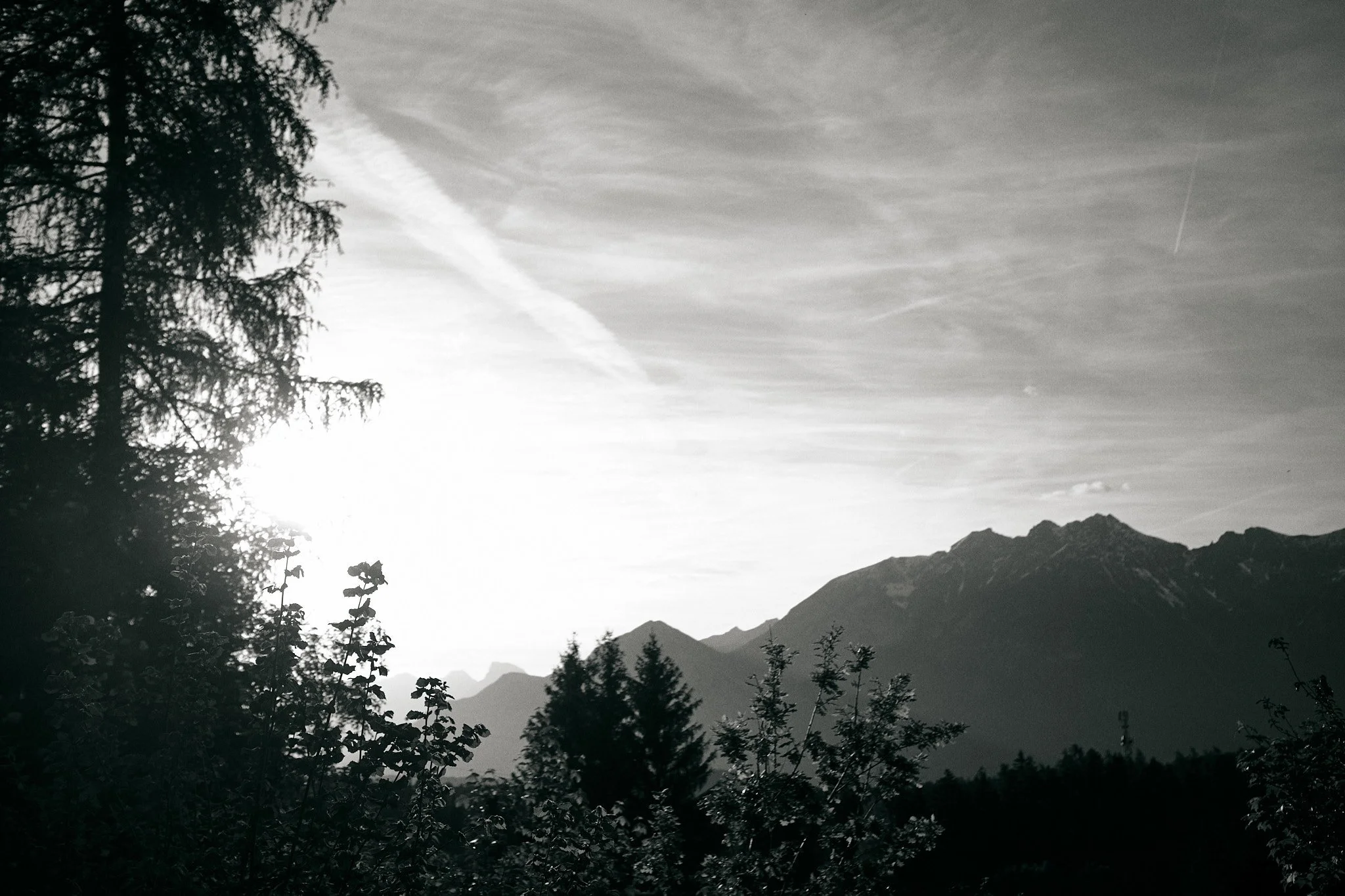 breakfastunderatree_0163.jpg
