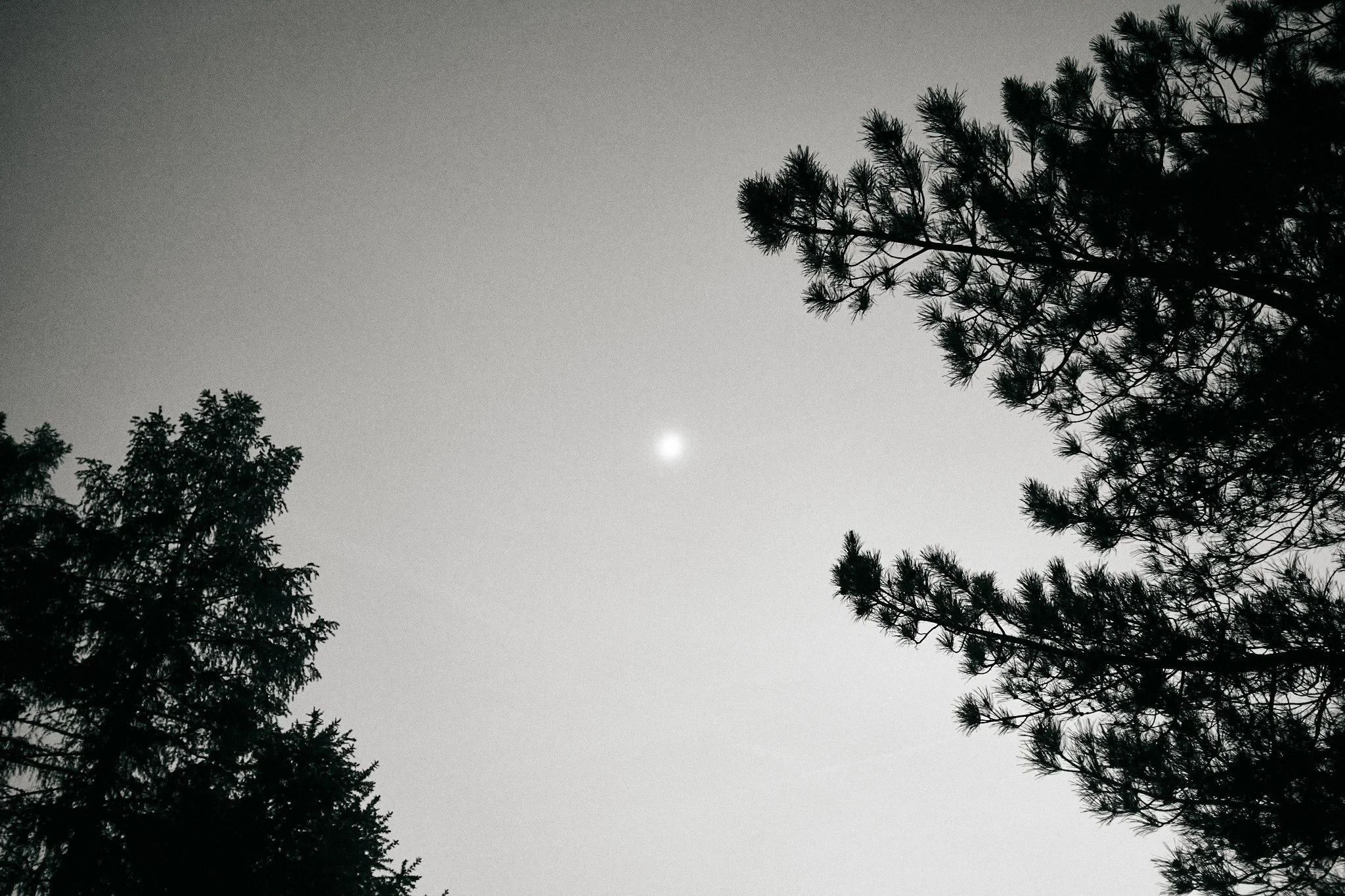 breakfastunderatree_0167.jpg