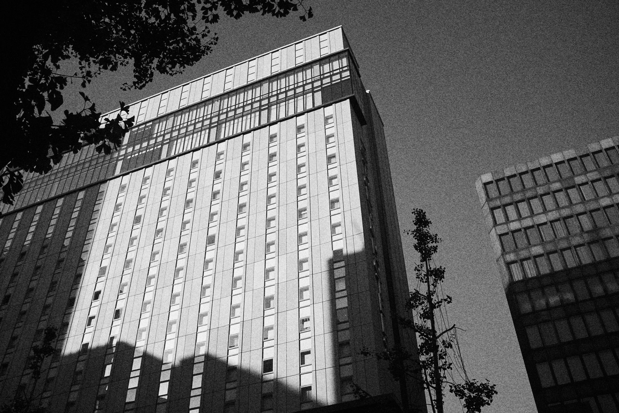 japan_00824.jpg