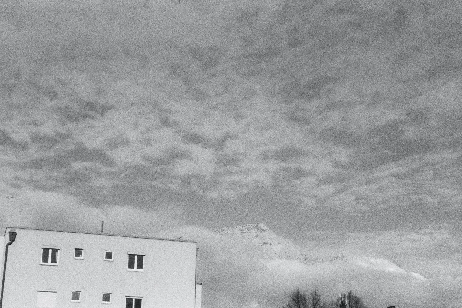 imm021_N21.jpg