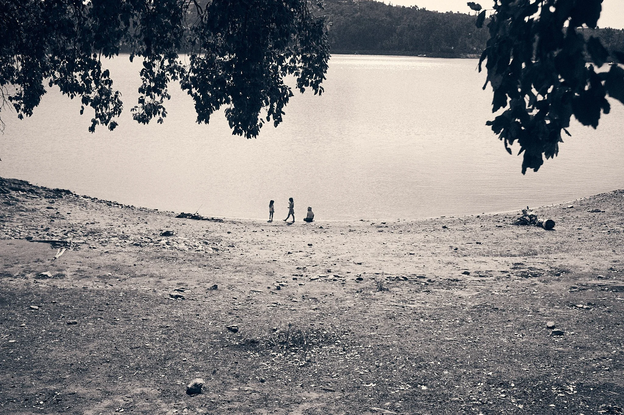 breakfastunderatree_00467.jpg