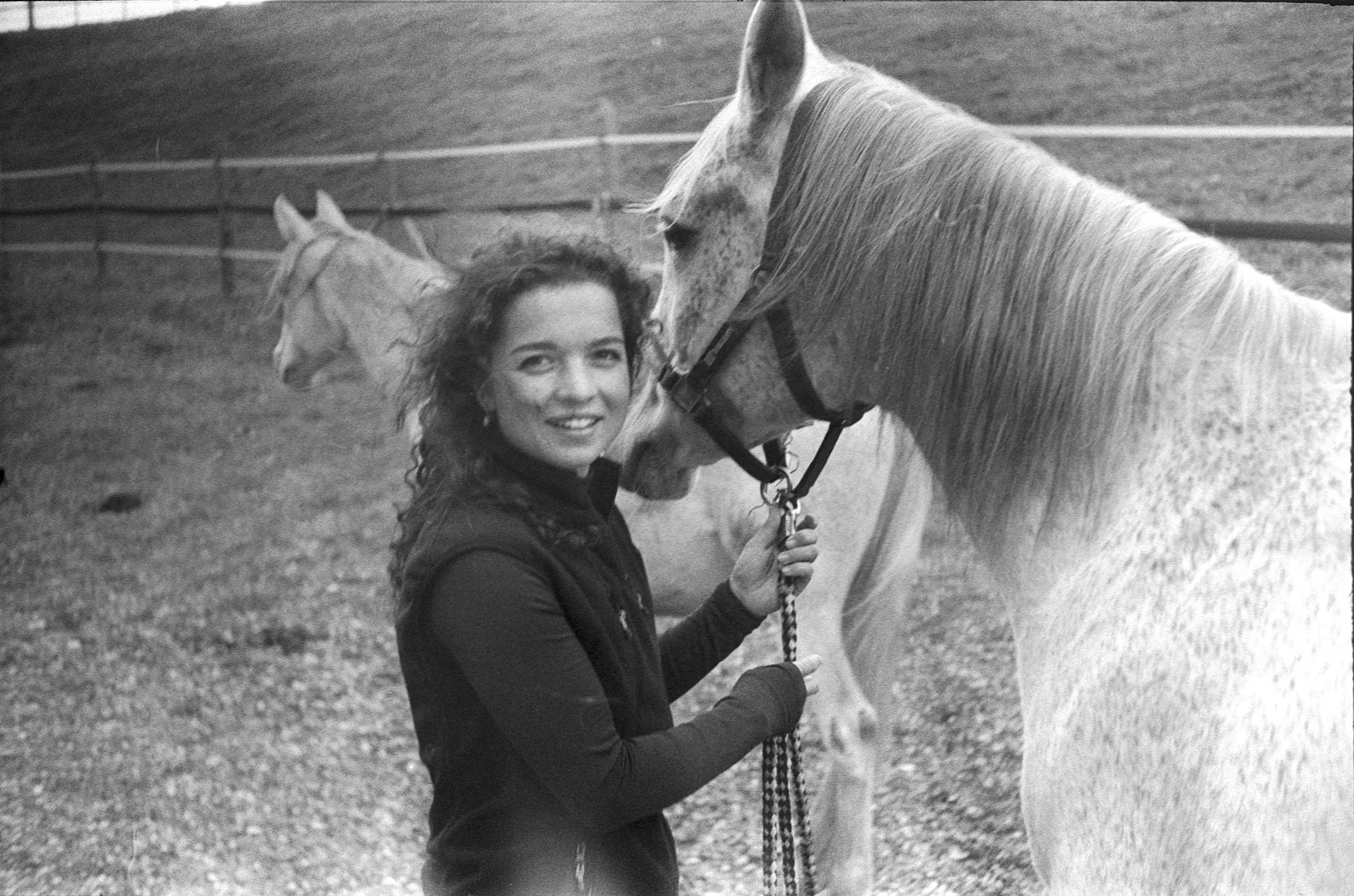 ARABIAN_HORSE5.jpg