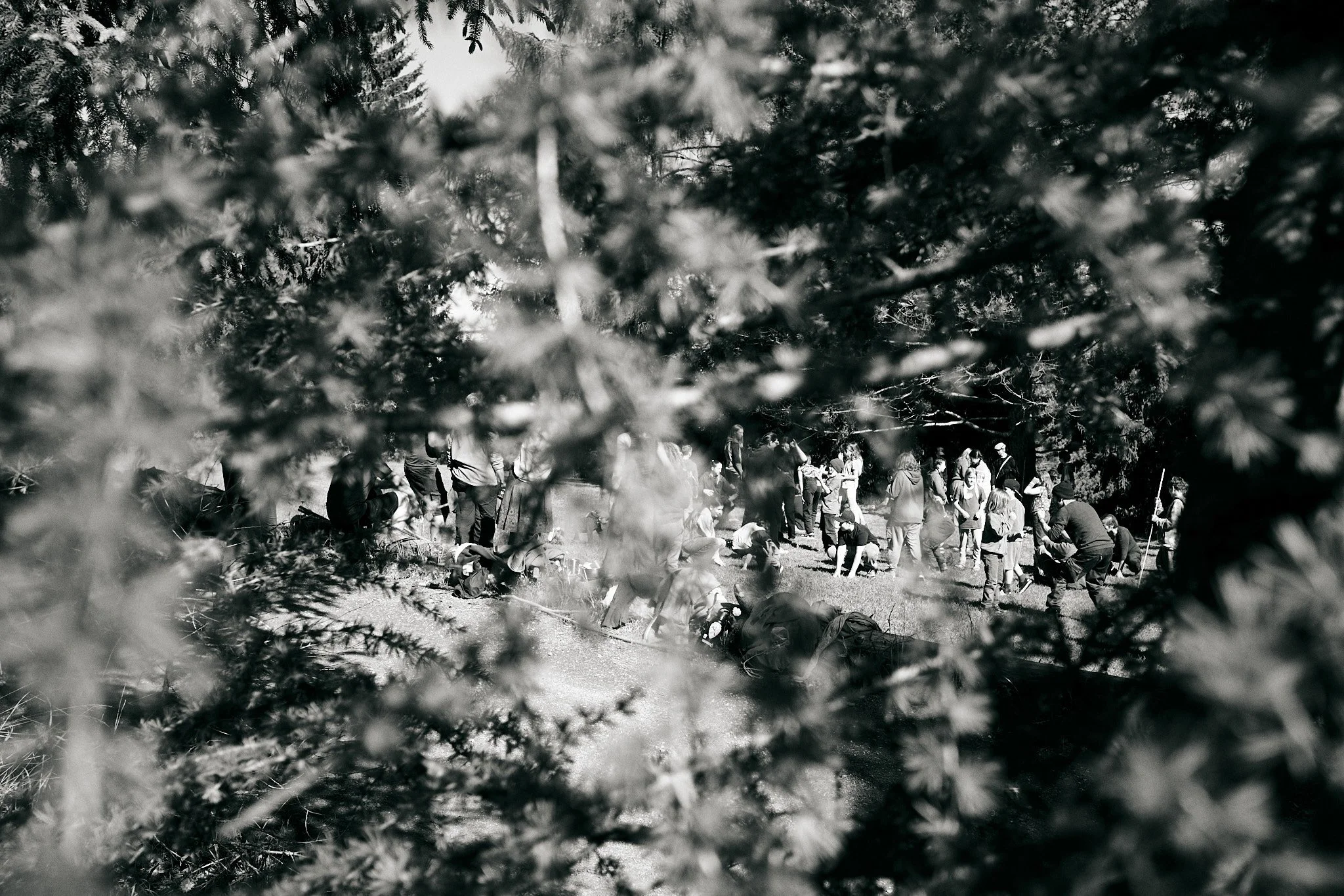 breakfastunderatree_0170.jpg