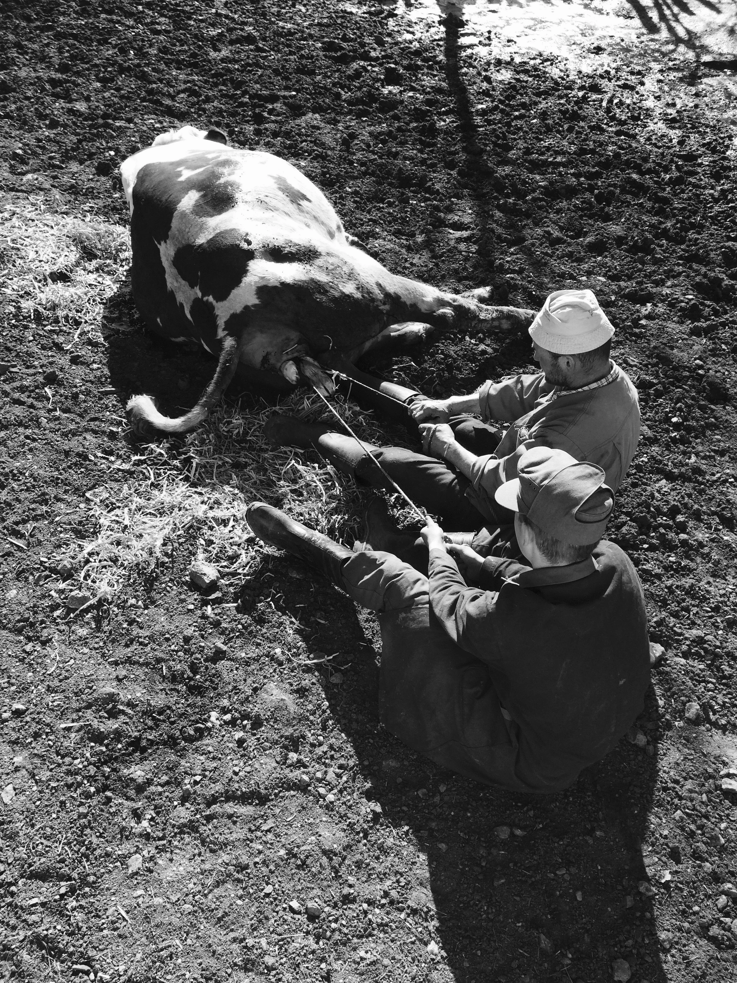 foto 27.03.16, 10 10 46.jpg