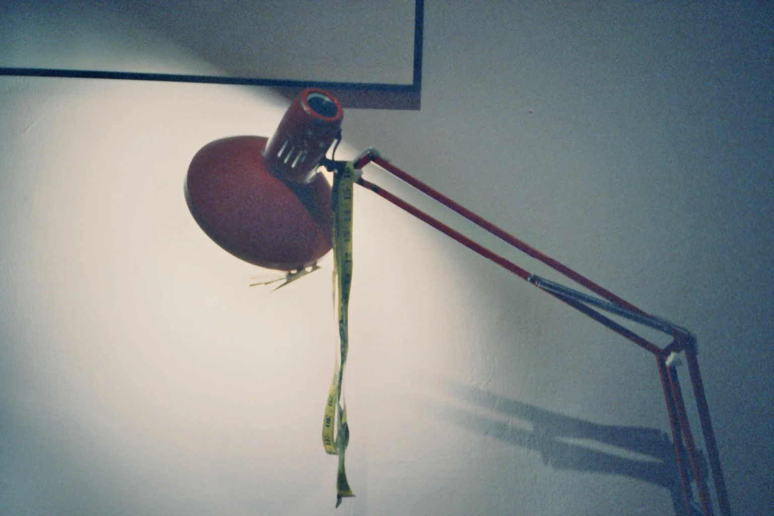 imm018_N18.jpg