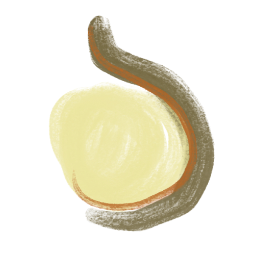 Cross-section of a garlic bulb showing individual garlic cloves inside.