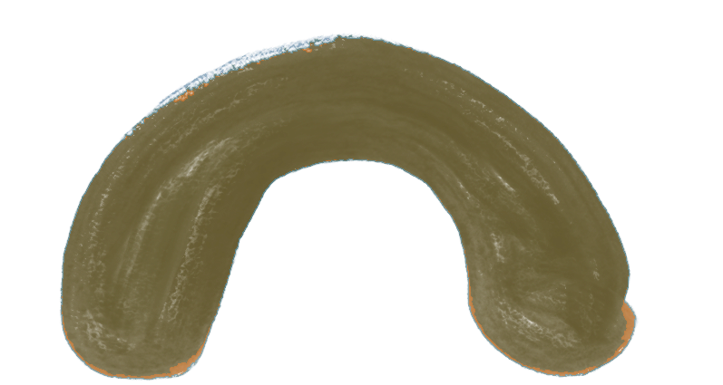 A golden-brown croissant isolated on a white background.