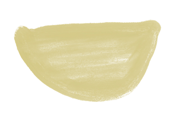 A close-up of a yellowish, semi-circular object with a textured surface and irregular edges.