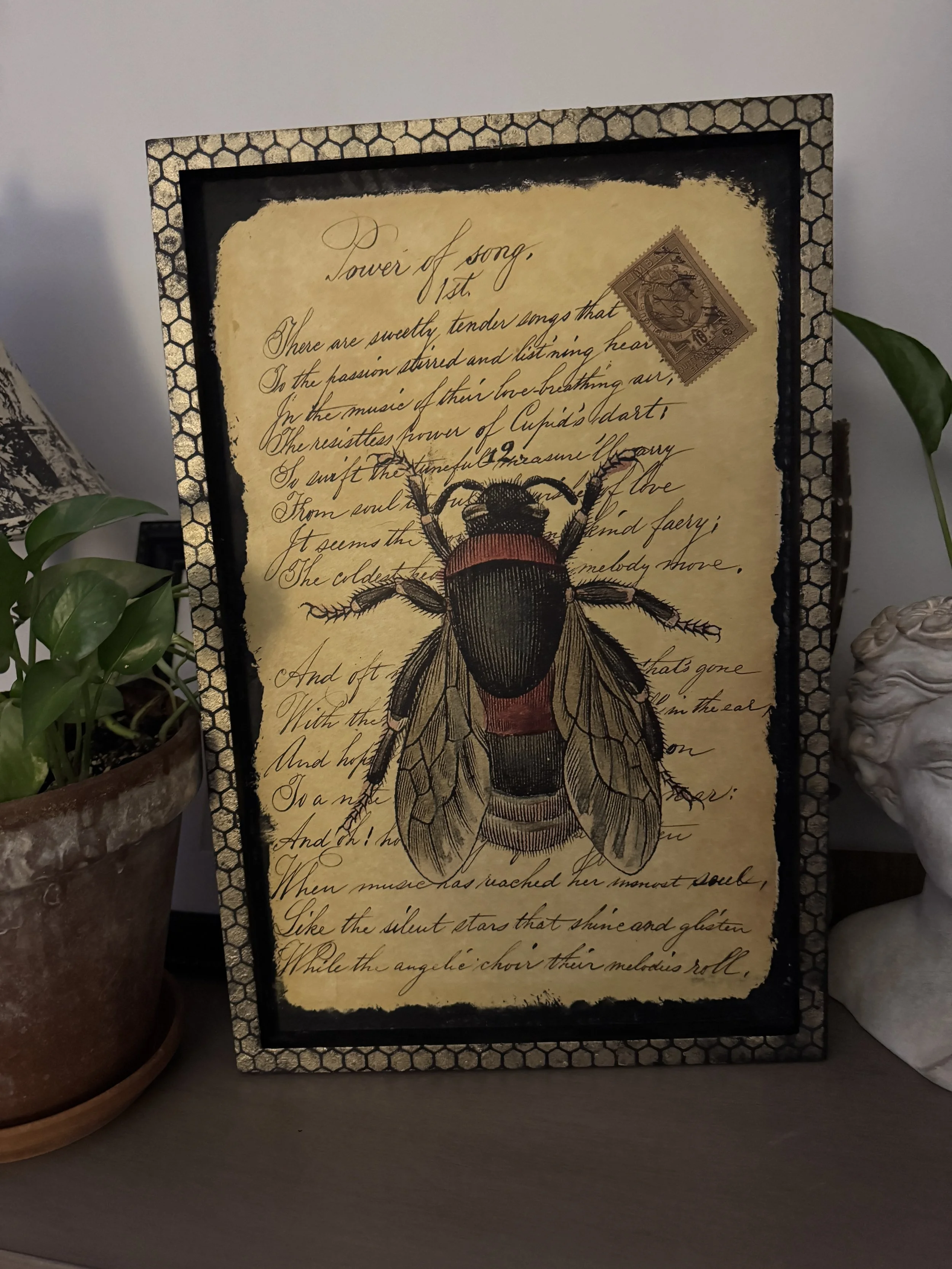 Decorative framed artwork with handwritten text and an illustration of a large fly on a vintage yellowed paper background, flanked by potted plants on a surface.