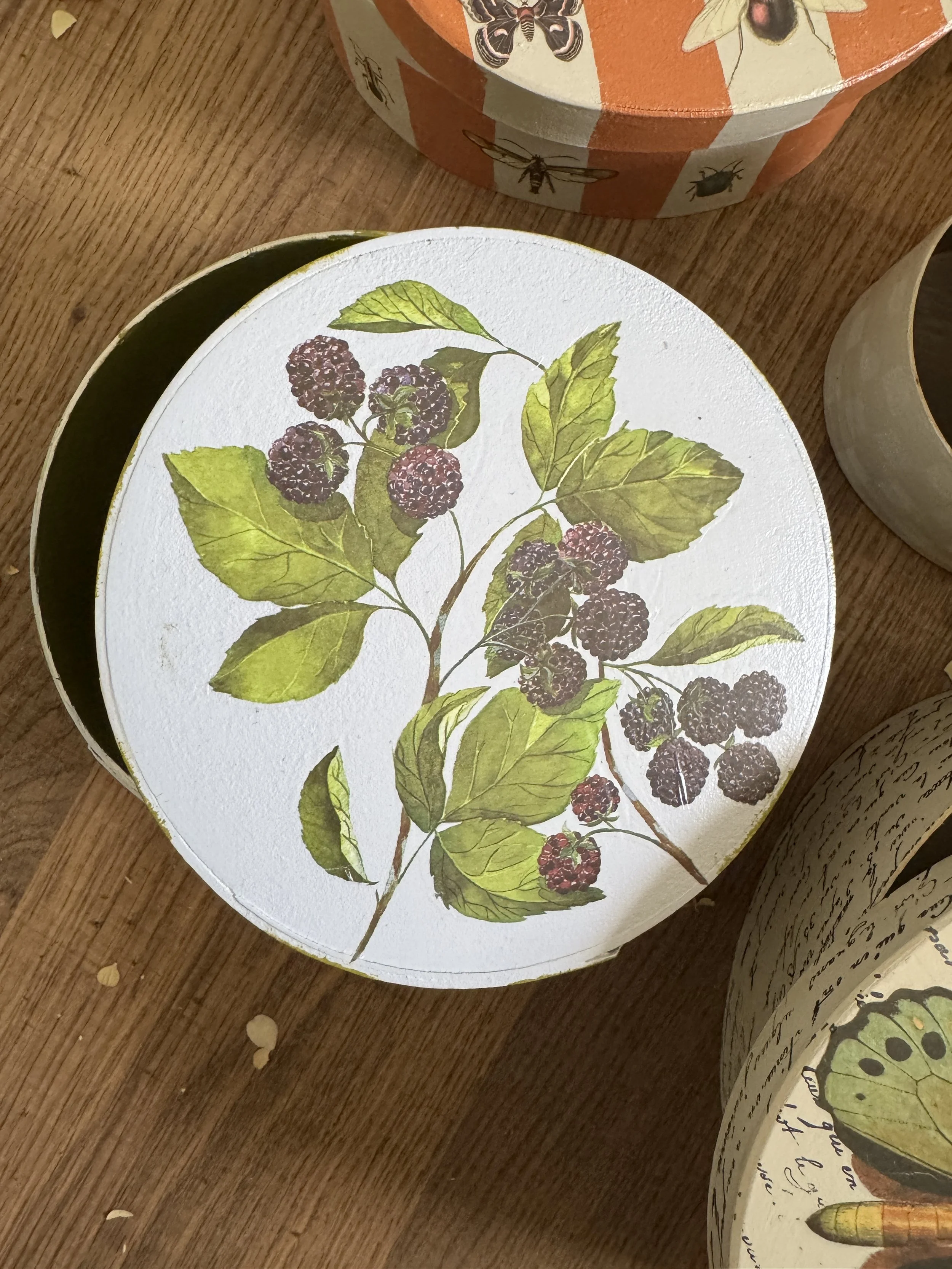 Close-up of decorative paper coasters with botanical and insect illustrations on a wooden surface.