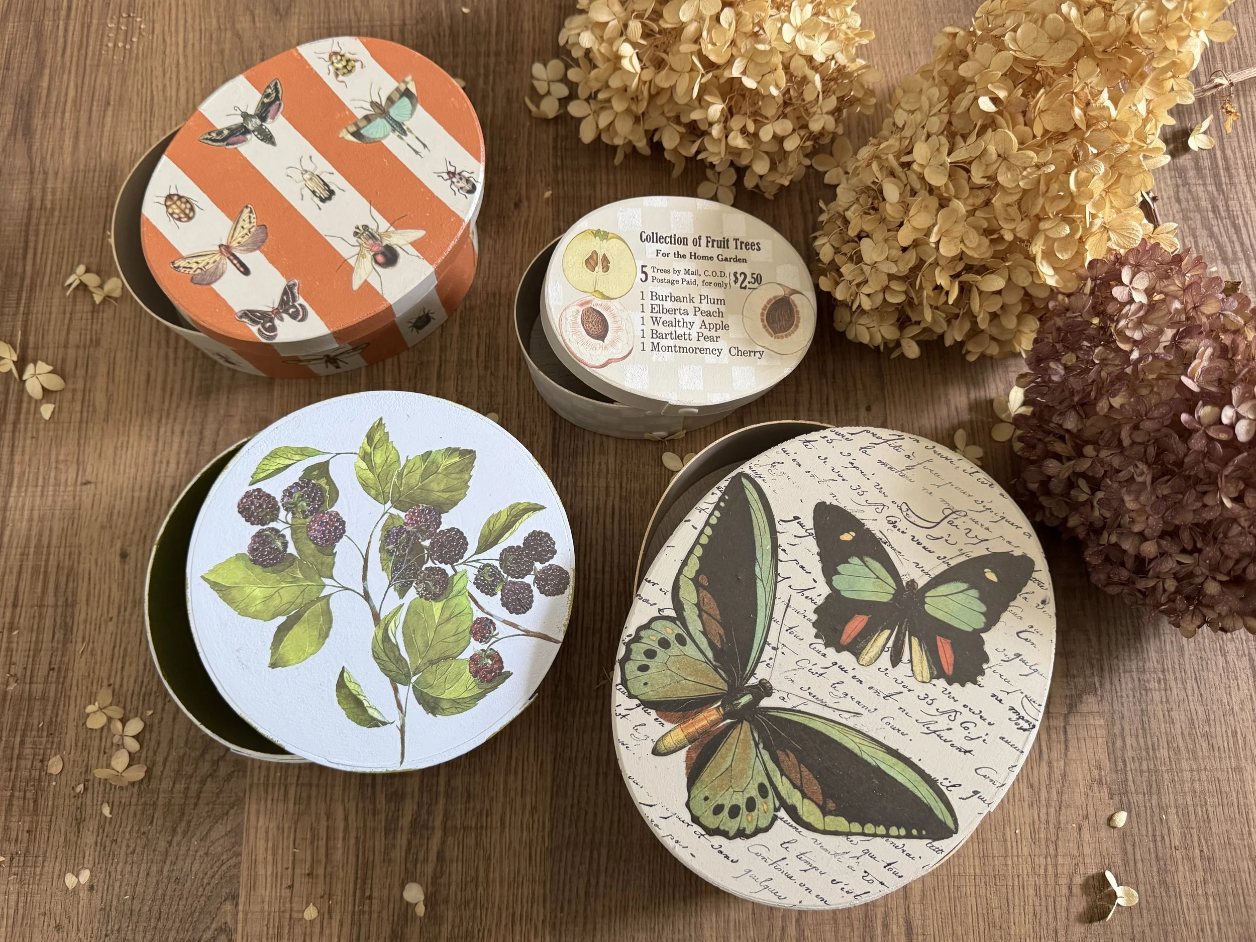 Collection of decorative round boxes on a wooden surface, featuring illustrations of insects, berries, and handwritten script, with dried hydrangea flowers nearby.