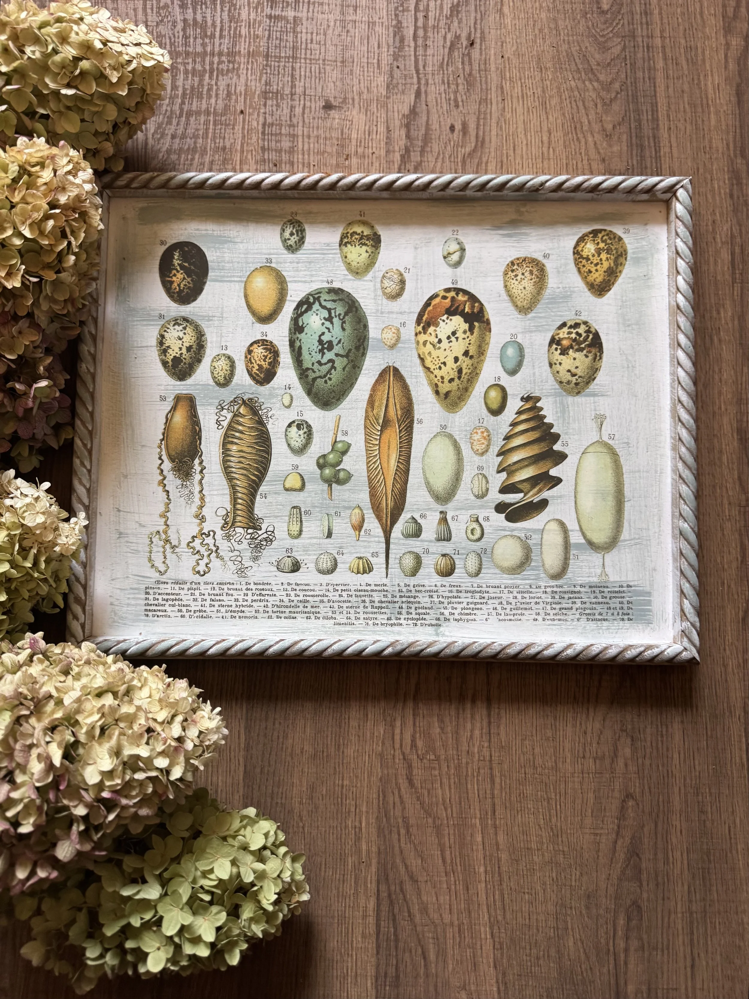 Eggs & Seeds Ephemera Sign