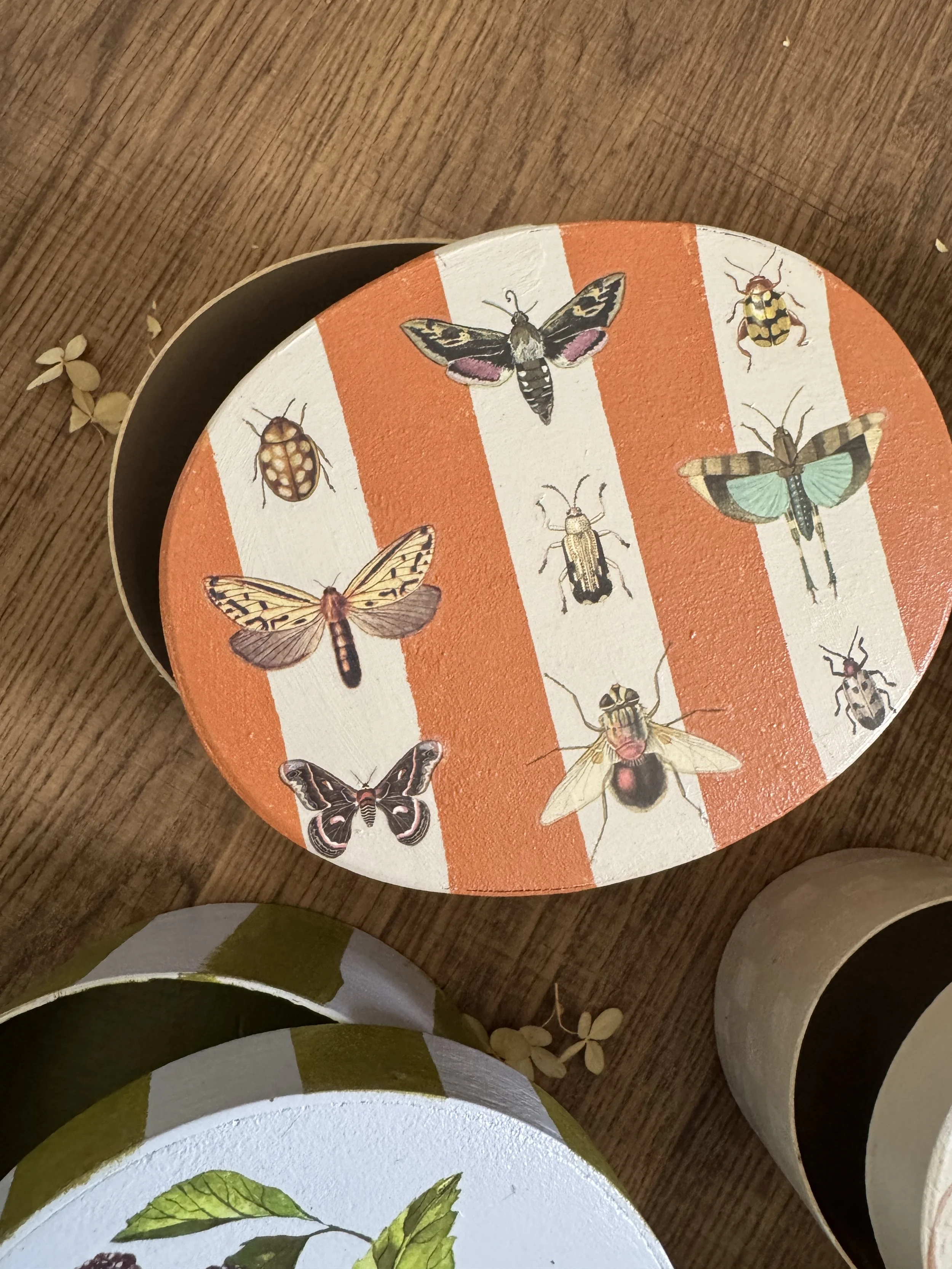 Decorative paper with illustrations of various insects, including a honeybee moth, ladybug, wasp, and dragonfly, set against orange and white stripes.