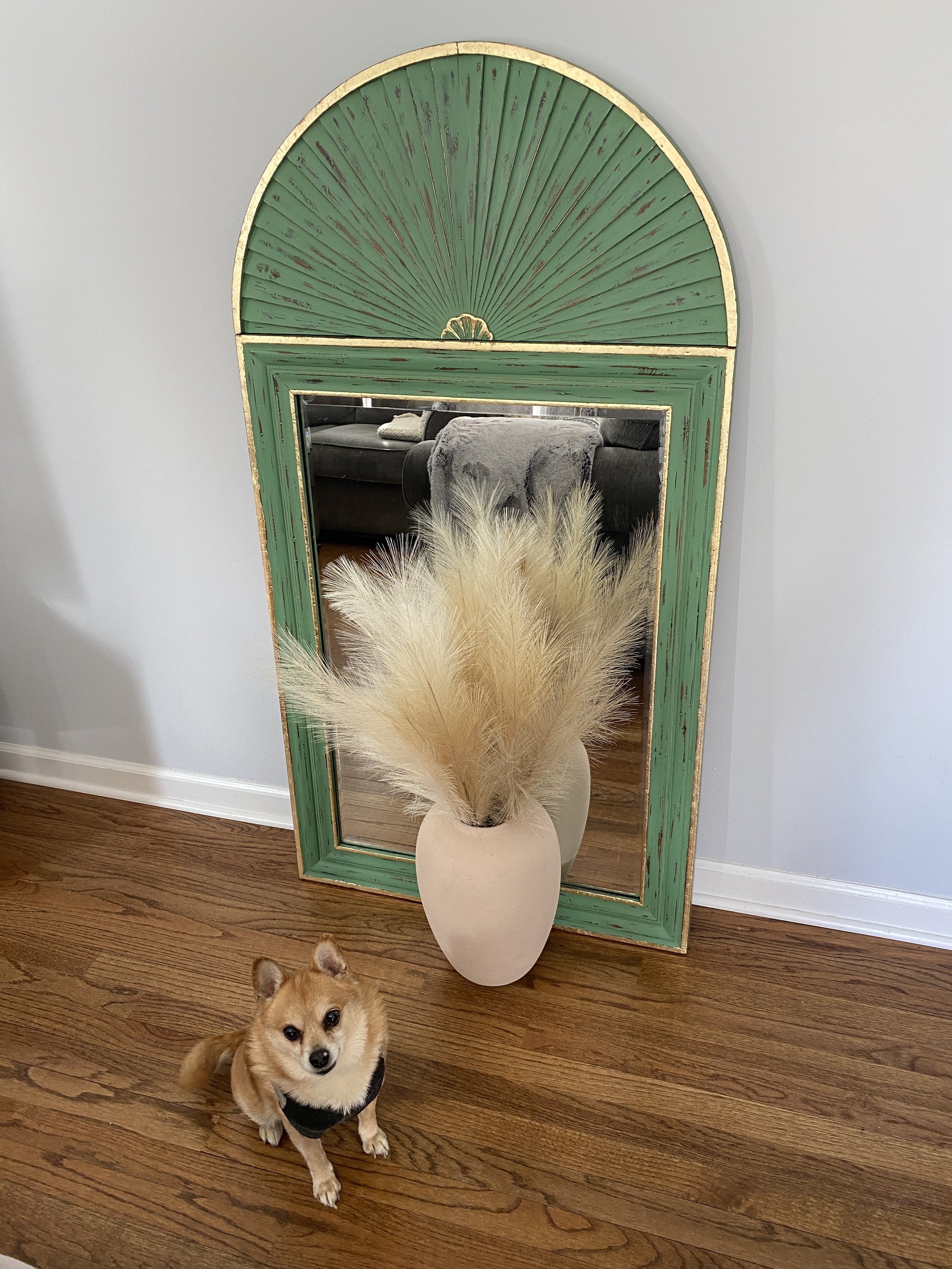 A tan and white puppy with a black harness sitting on a wooden floor in front of a large decorative mirror with a green and gold frame. A tall white vase with pampas grass is in front of the mirror, and a gray couch and blanket are reflected in the m