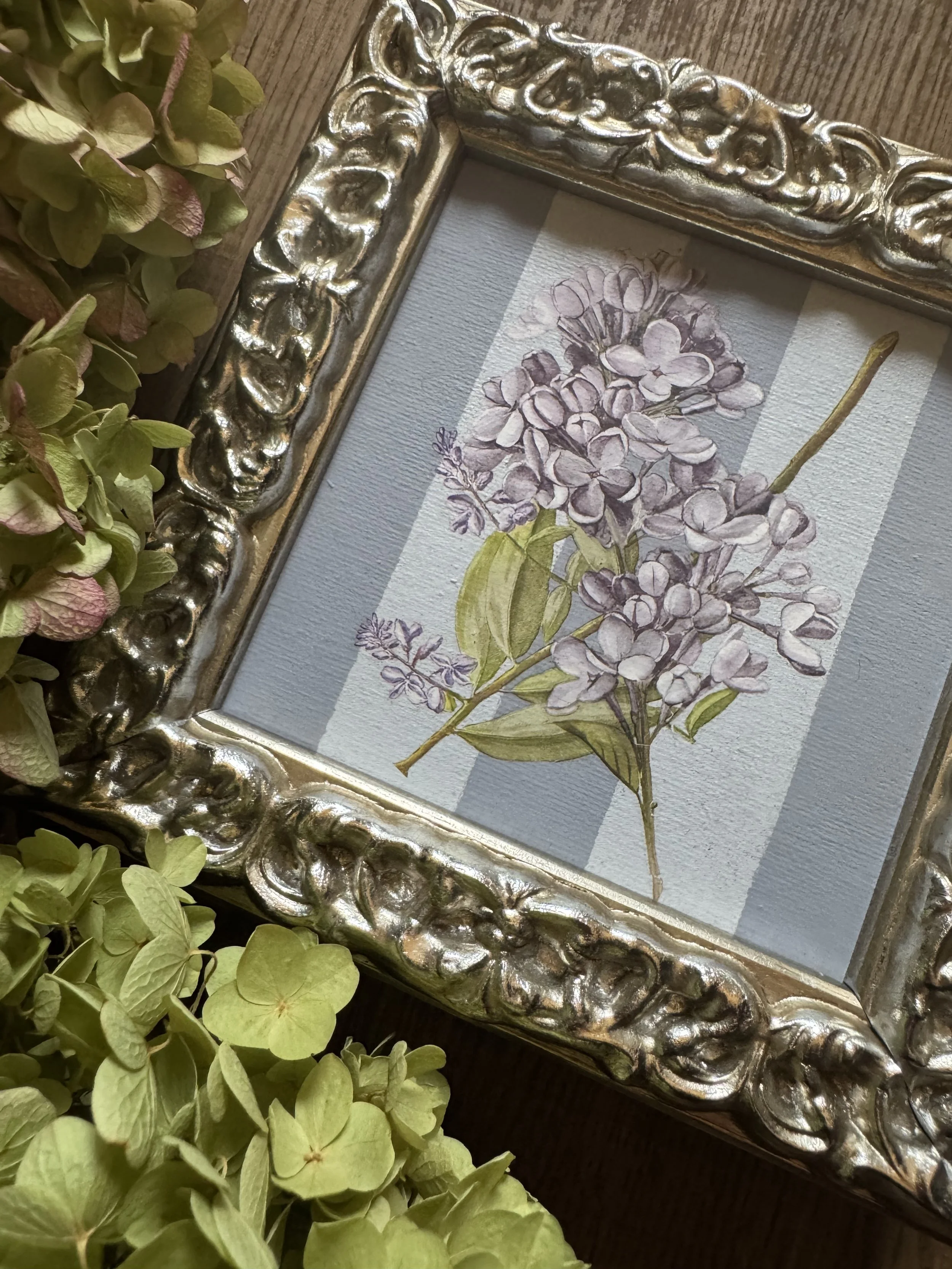 Small Framed Canvas - Hydrangea