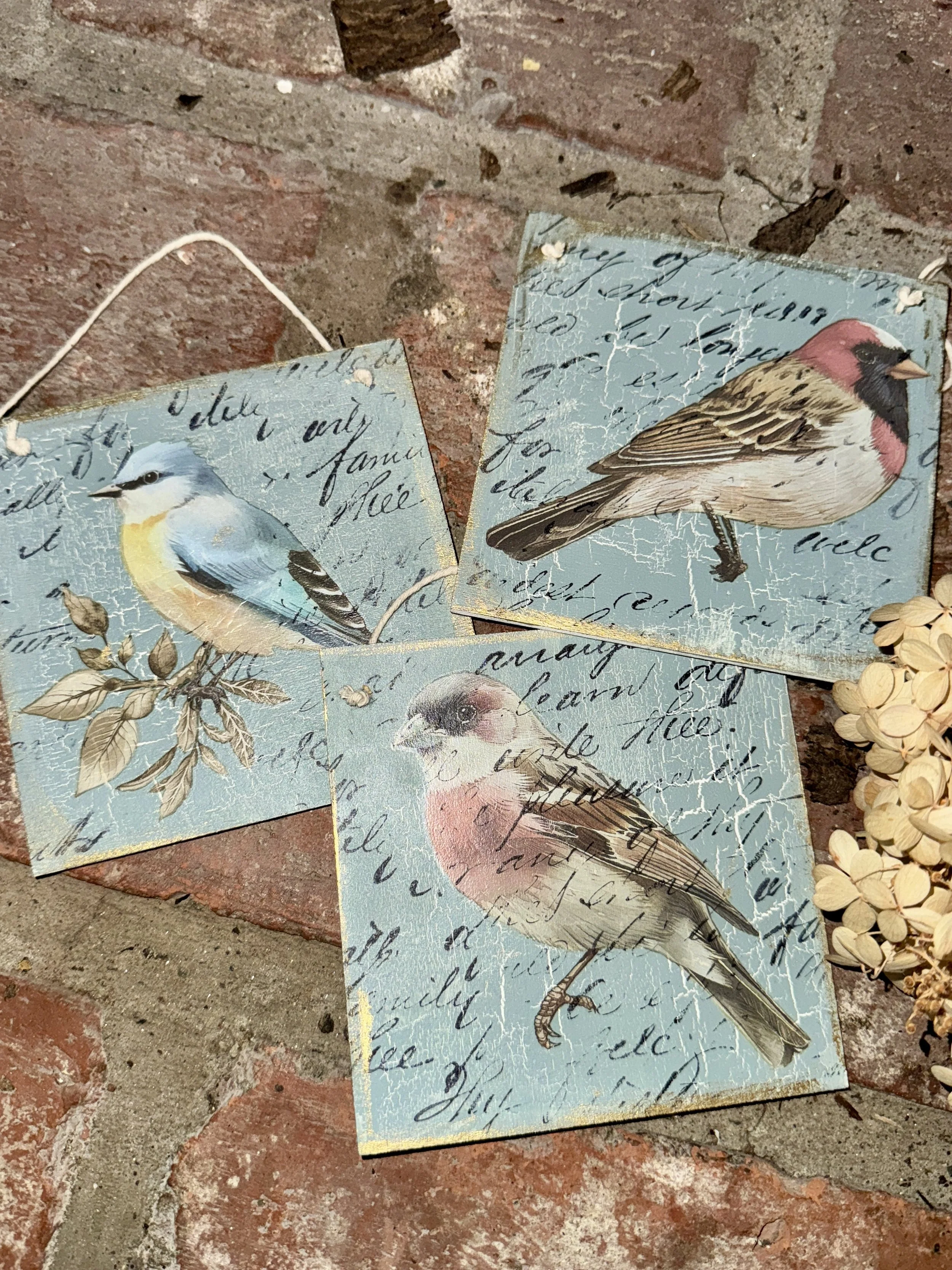 Decorative paper cards with bird illustrations and cursive handwriting on a brick floor.