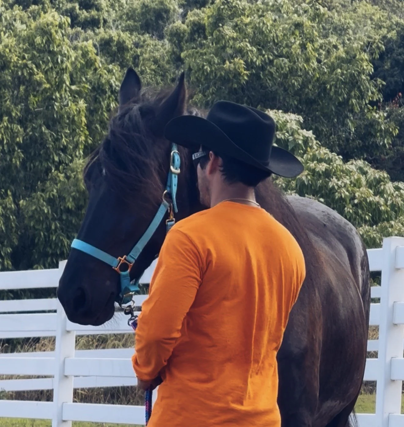 A man wearing a black cowboy hat and orange shirt standing next to a black horse with a blue halter, touching its face, with green trees and white fence in the background.