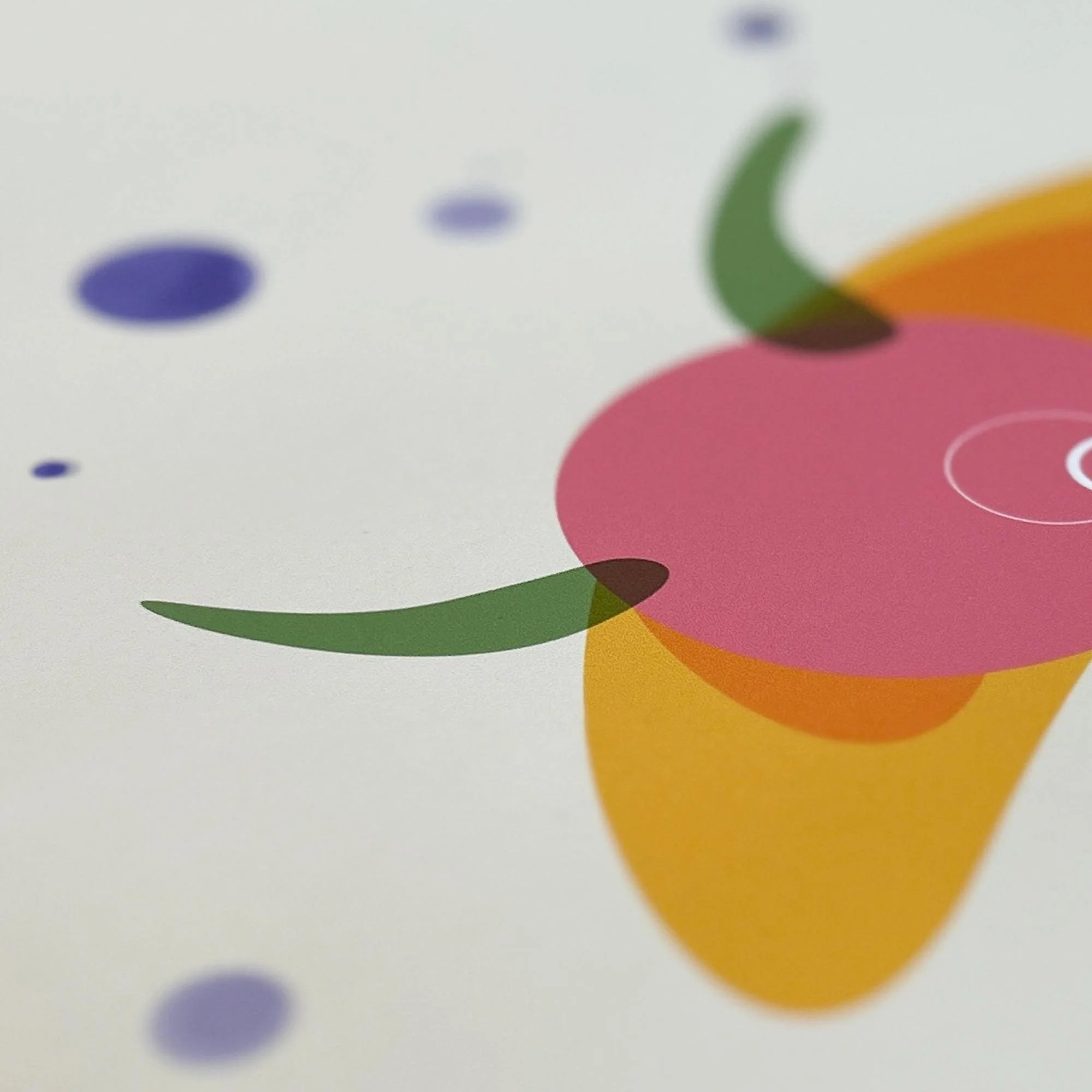 Close-up of Snail Eye art print from the Wanderer Collection