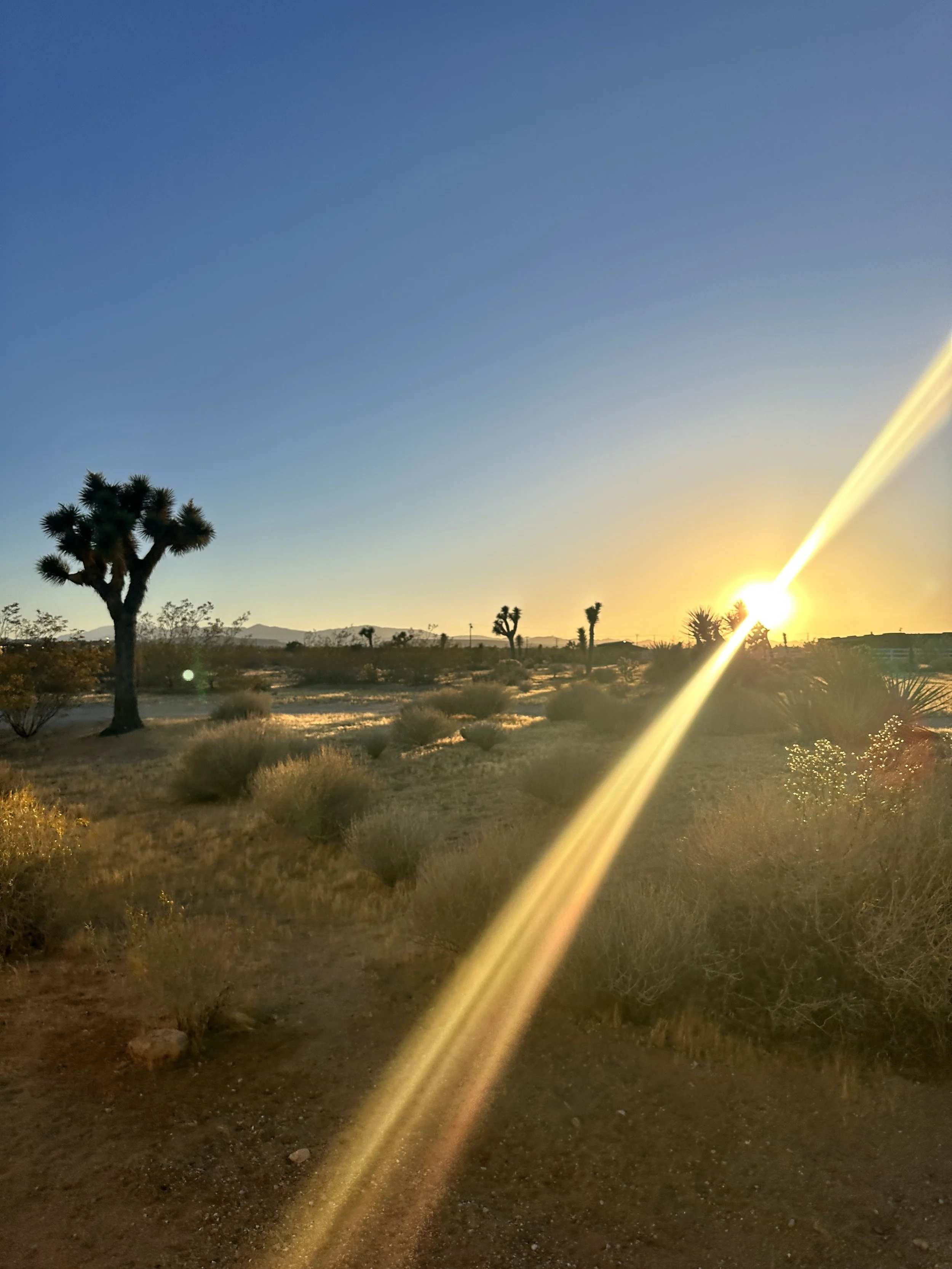 Desert sunset in Joshua Tree, California, with mountain views, open sky, and warm evening light creating a peaceful and restorative atmosphere.