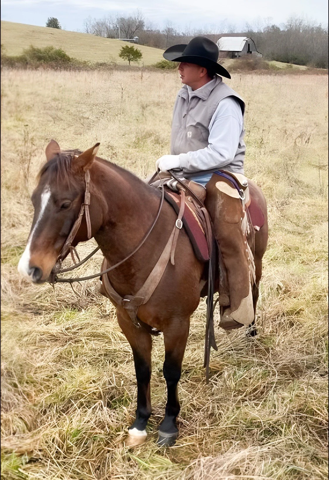 A person wearing a black cowboy hat, gray vest, and white gloves riding a brown horse through a yellowish grassy field with trees and a barn in the background.