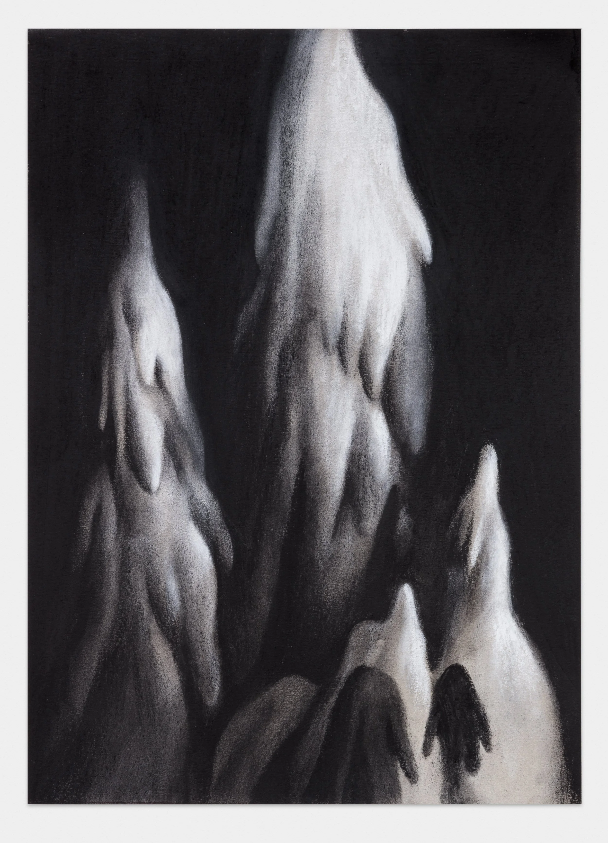 Forest For The Trees