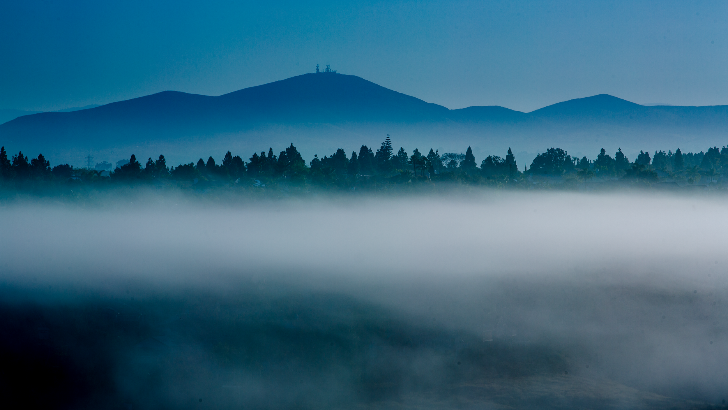 Misty Morning