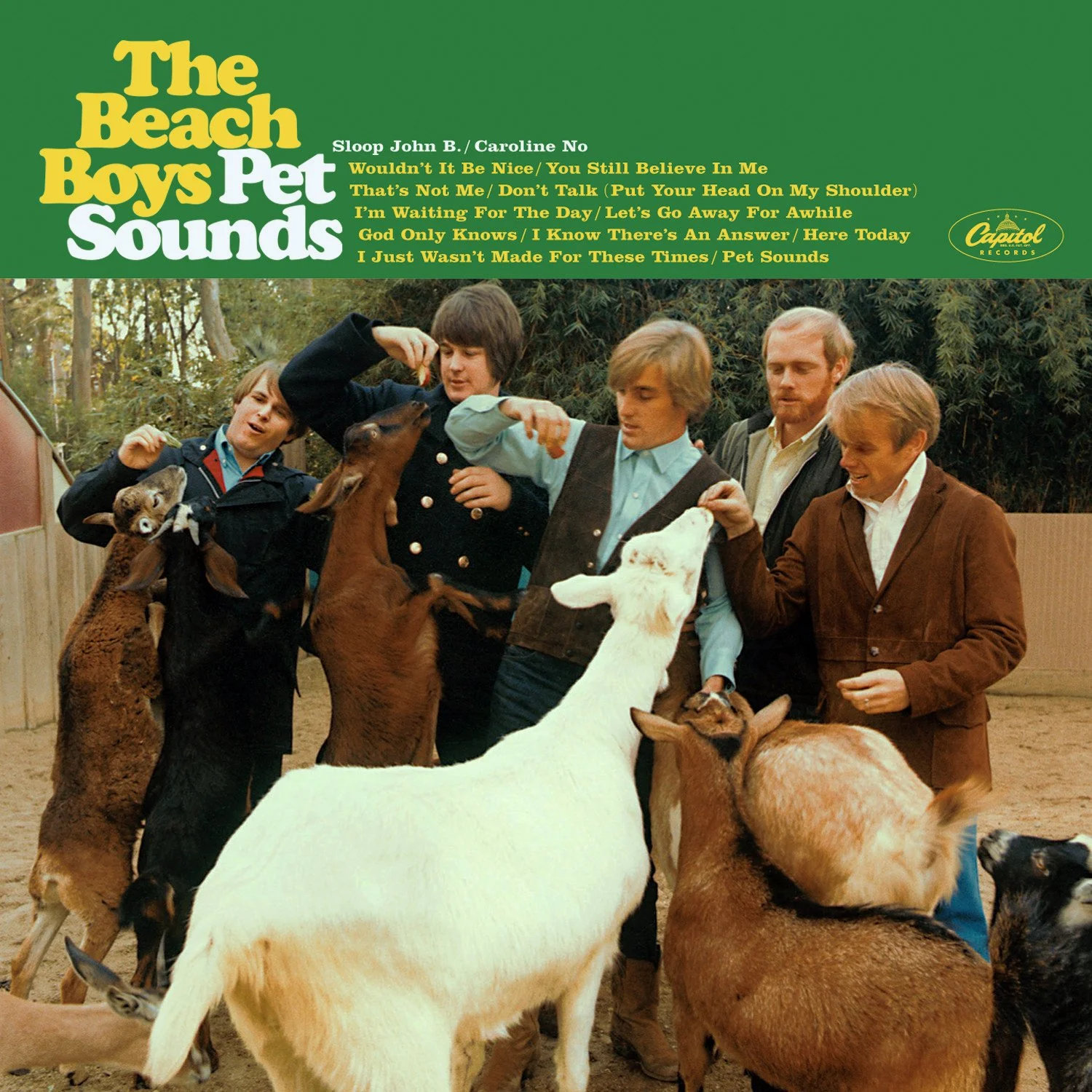 in rotation: the beach boys / pet sounds