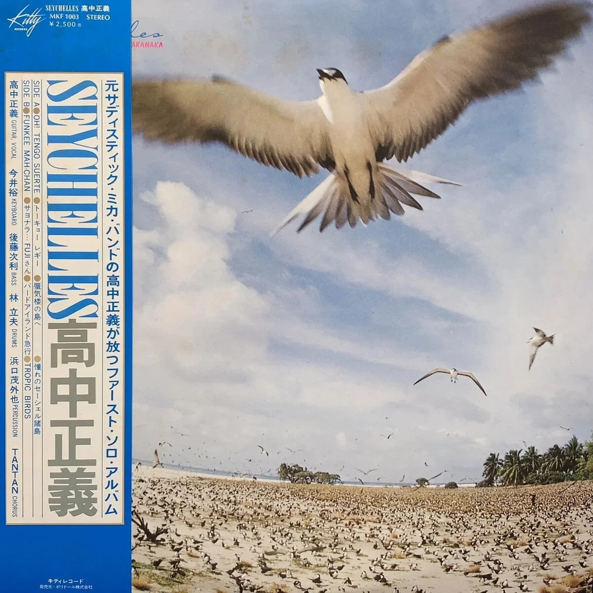 Seagulls flying over a sandy beach with palm trees in the background.
