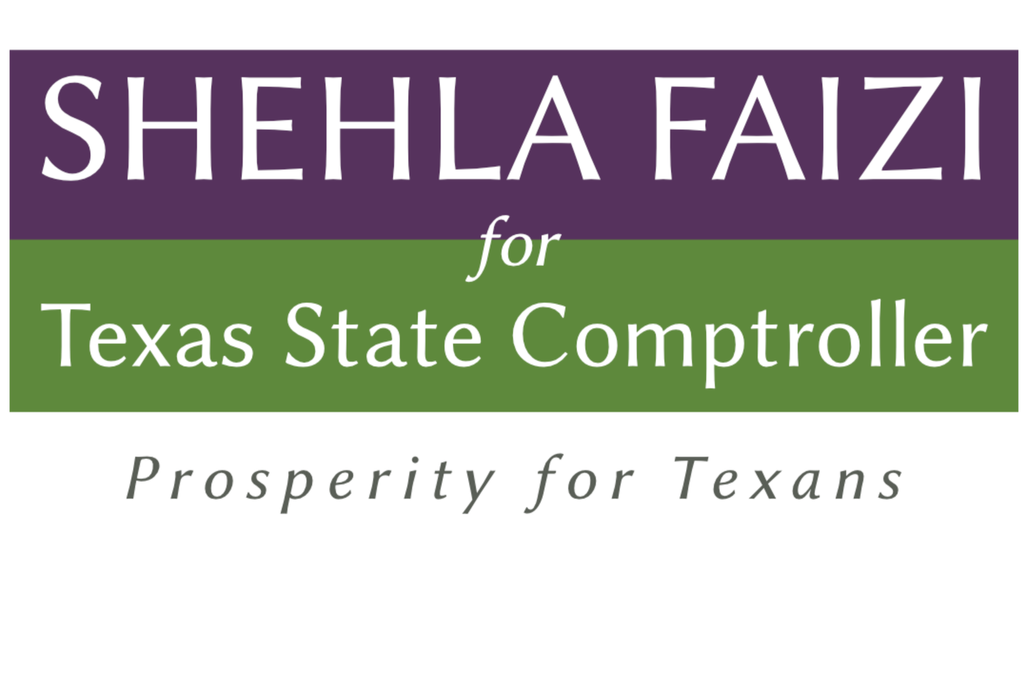 Shehla Faizi For Texas State Comptroller