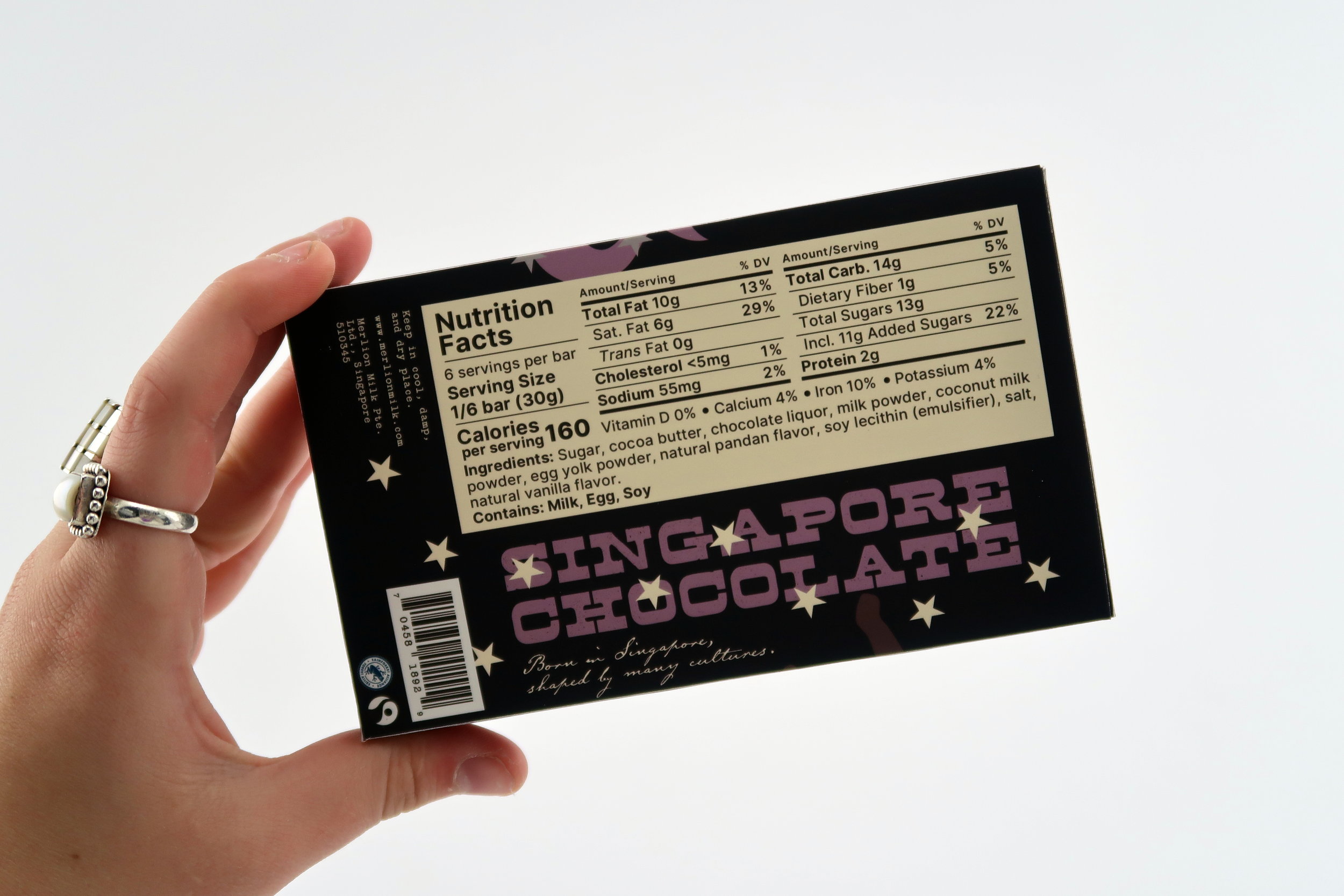 Merlion Final Pic 8.png