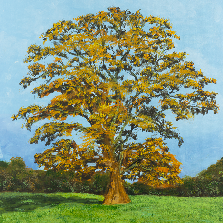 treepainting72.png