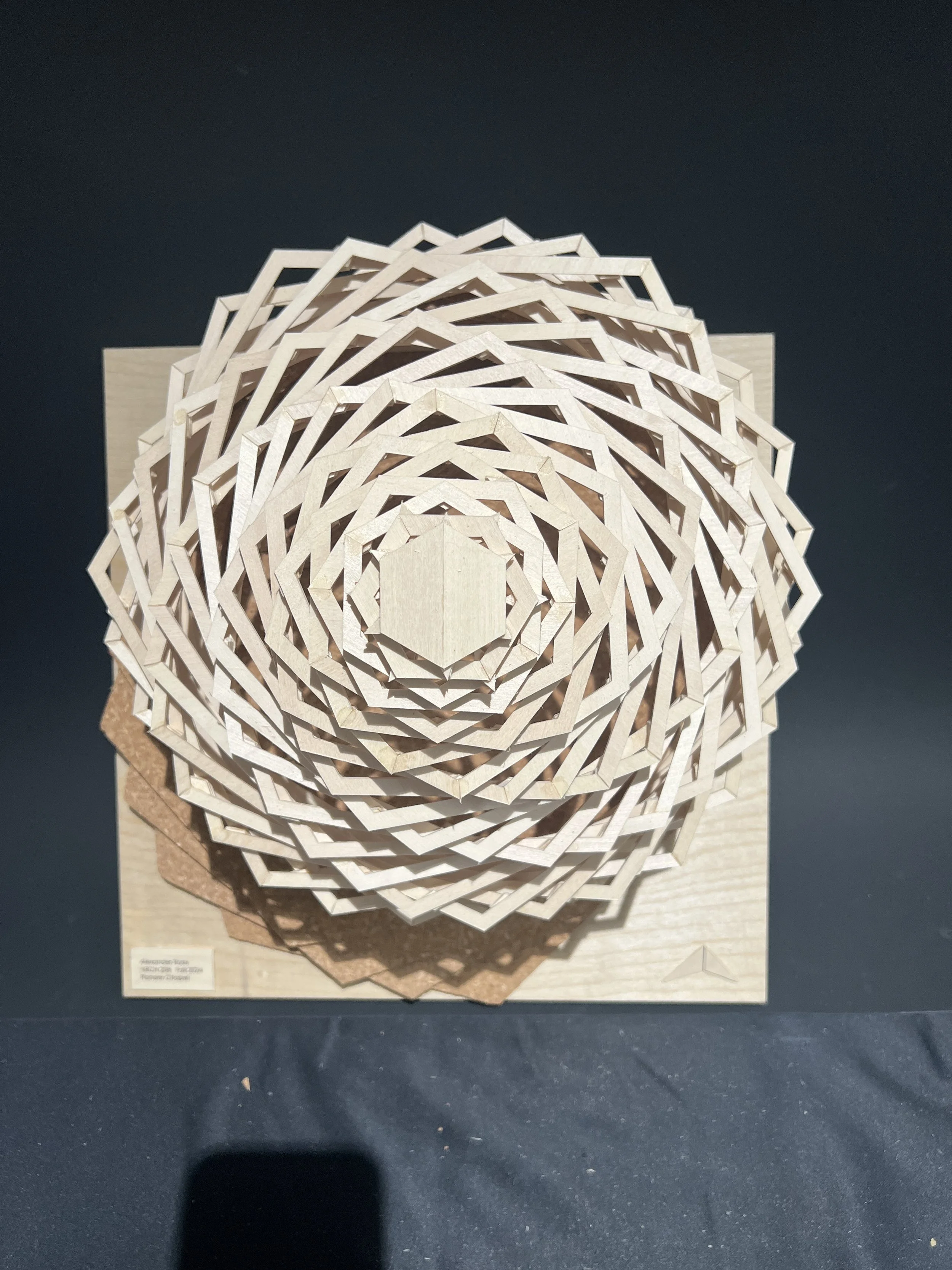 Final Model 15_black.JPG