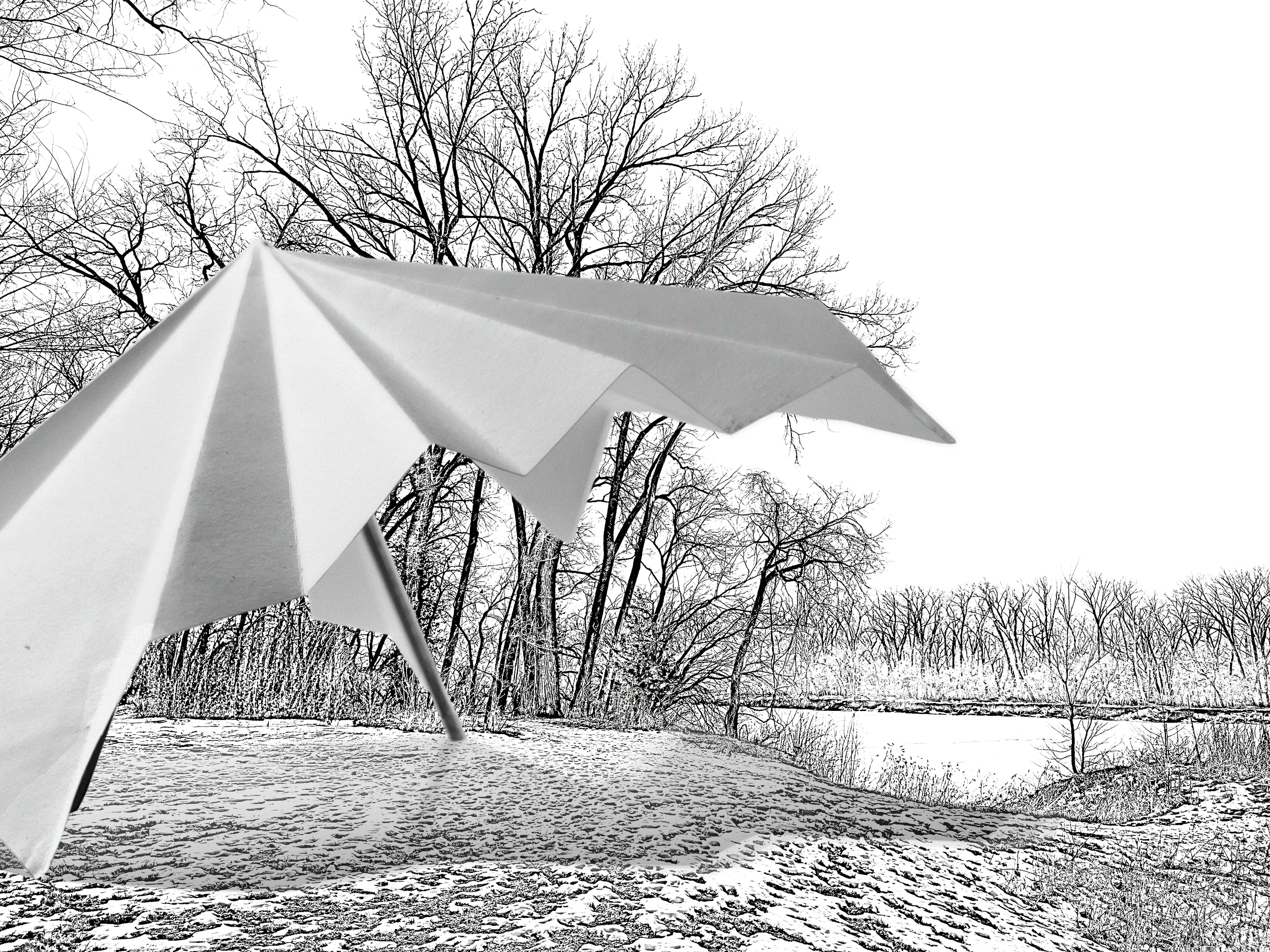 Site Sketch PS Edit.png