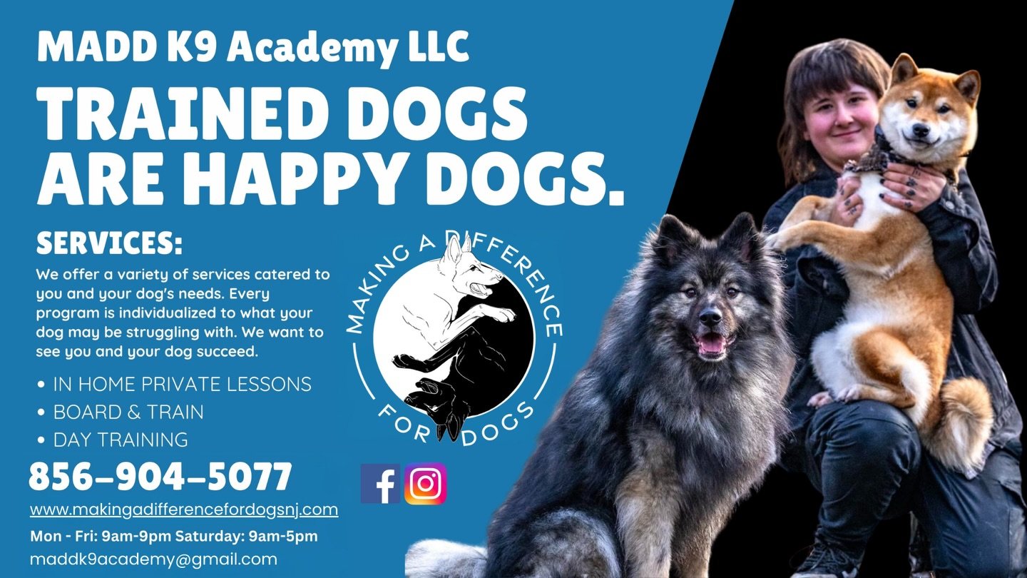 Updated advertising material and soon will be up at @craftbrewery33 in Riverton, NJ 

💙🤍🖤

Alyssa Eckerd, MADD K9 Academy
📍NJ &amp; Tri-State Area
☎️ 856-904-5077
📧maddk9academy@gmail.com
🌐 www.makingadifferencefordogsnj.com

On and Off-Leash O