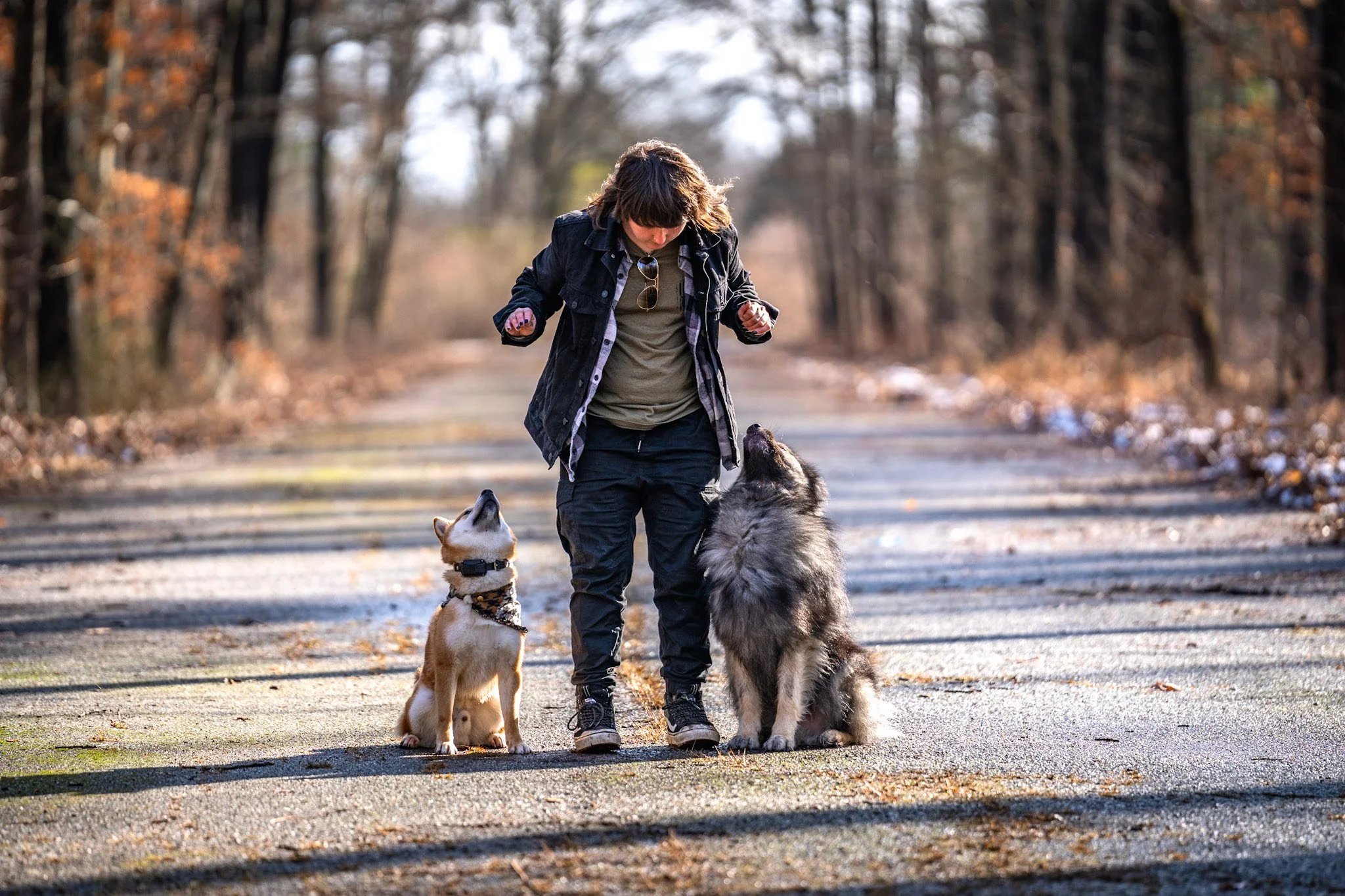 Teaching two dogs to sit and focus in a wooded area, the dogs are completely focused on their trainer.