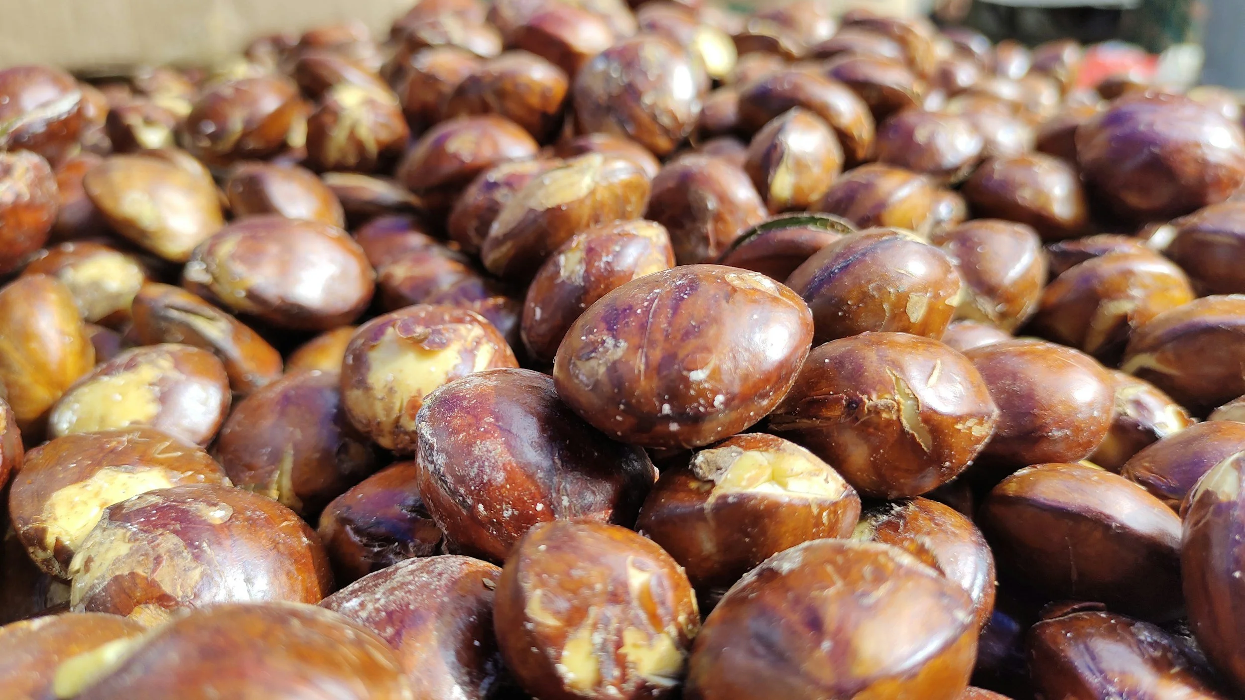 Close-up of roasted chestnuts with brown shells and some open, revealing yellowish nuts inside.
