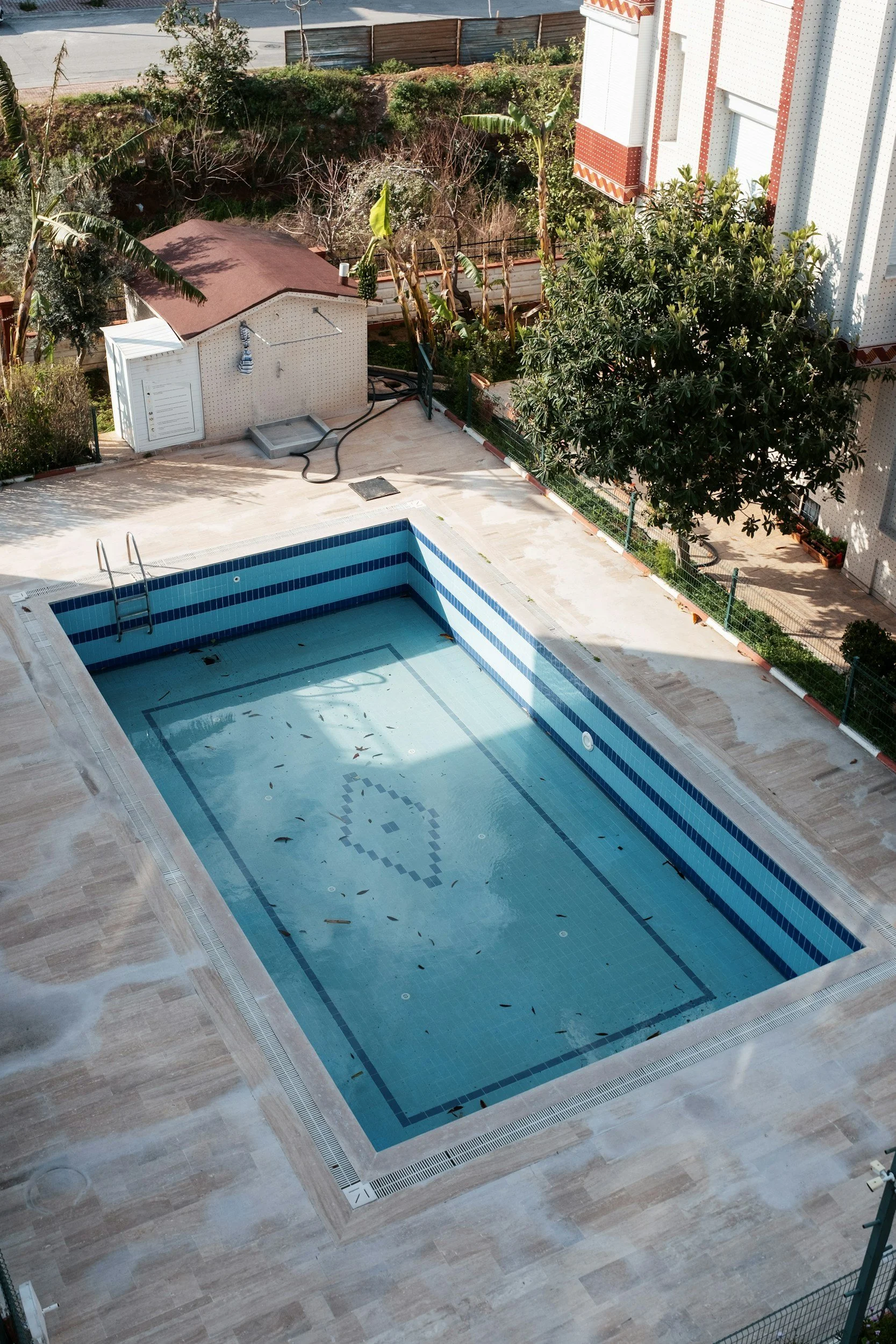 Empty swimming pool with some leaves and debris, surrounded by a tiled deck, in a residential backyard with trees and plants.