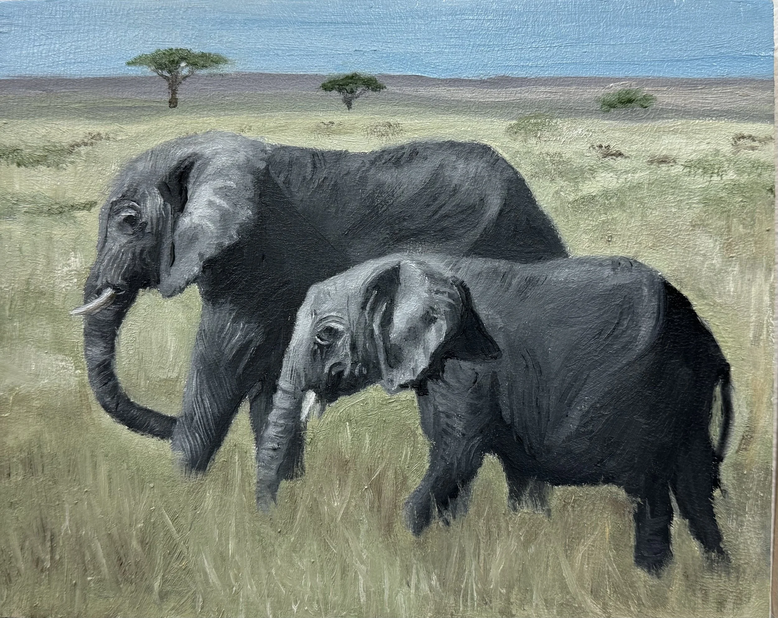Elephants, Oil on Canvas, 11x9", 2024.