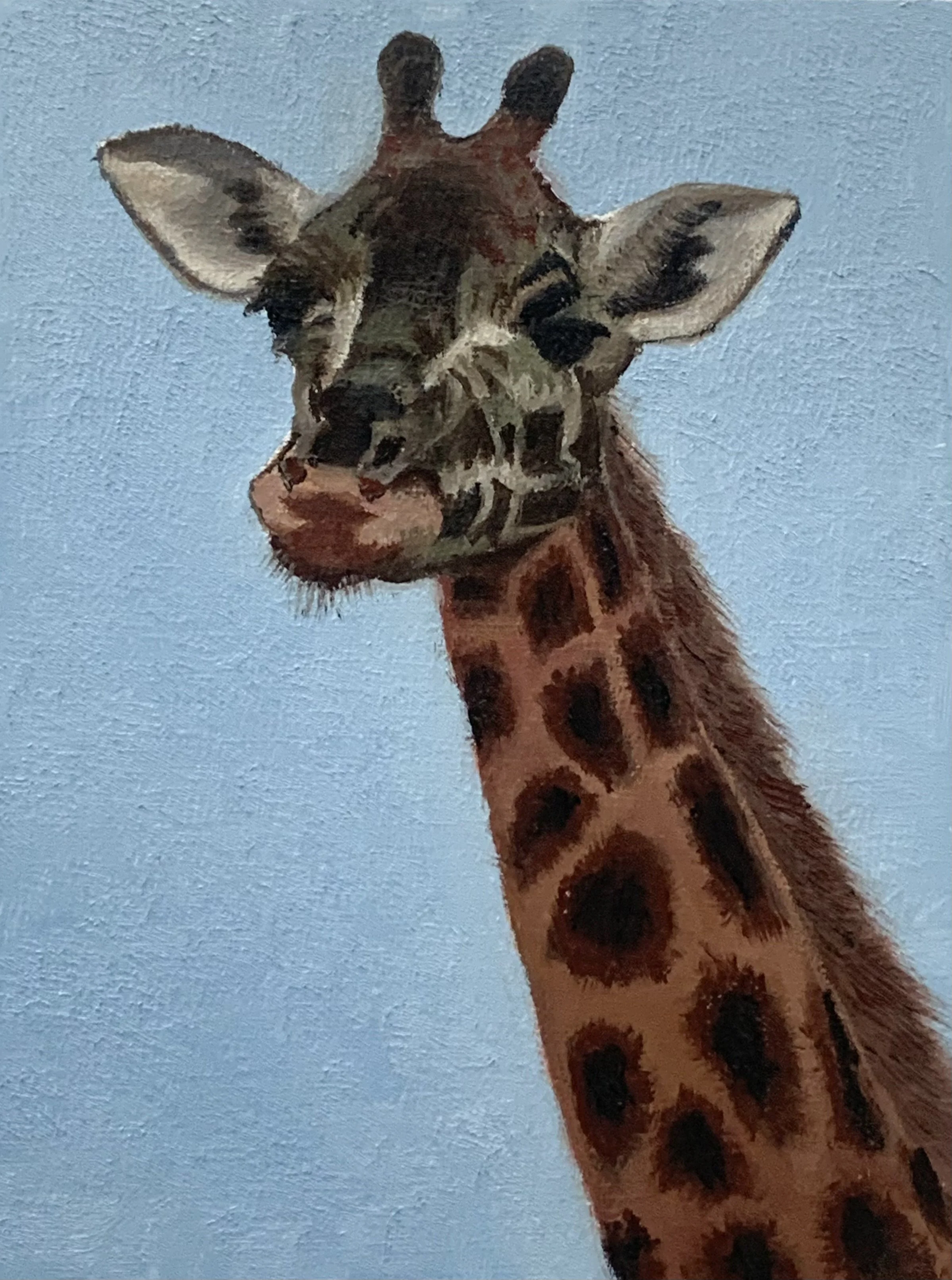 Giraffe, Oil on canvas, 9 x 7", 2024