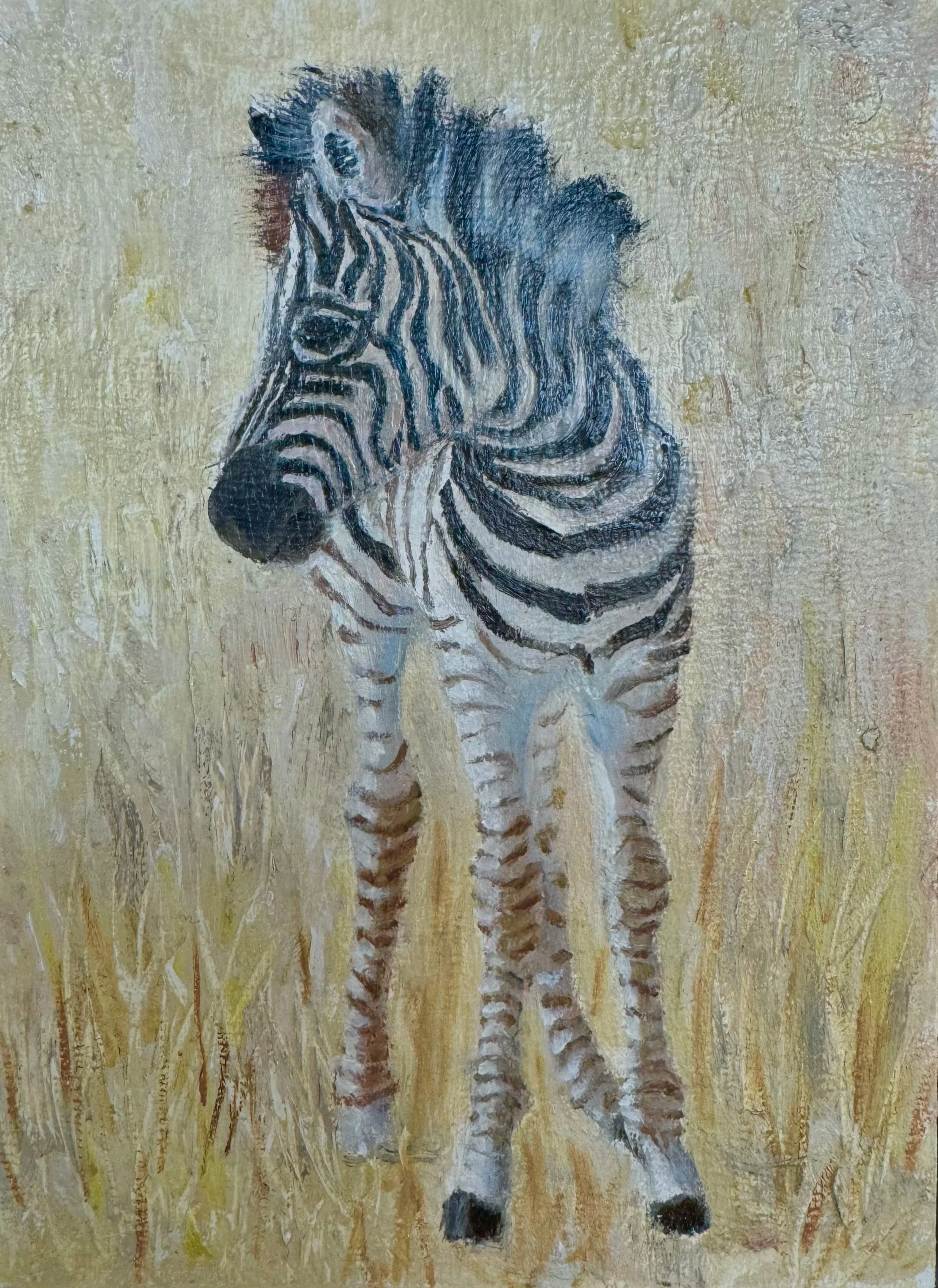 Zebra, Oil on Canvas, 9 x 7", 2024