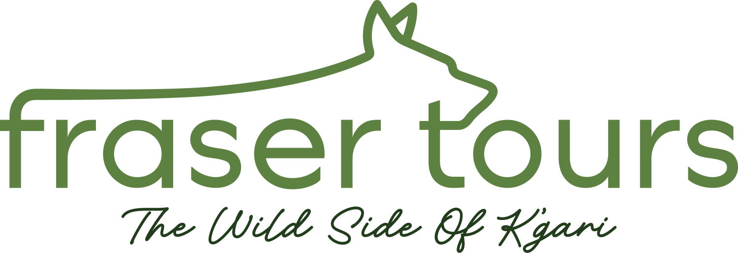 Logo for Fraser Tours featuring a green outline of a wolf's head and the words 'fraser tours' with the slogan 'The Wild Side Of K'ani' in cursive.